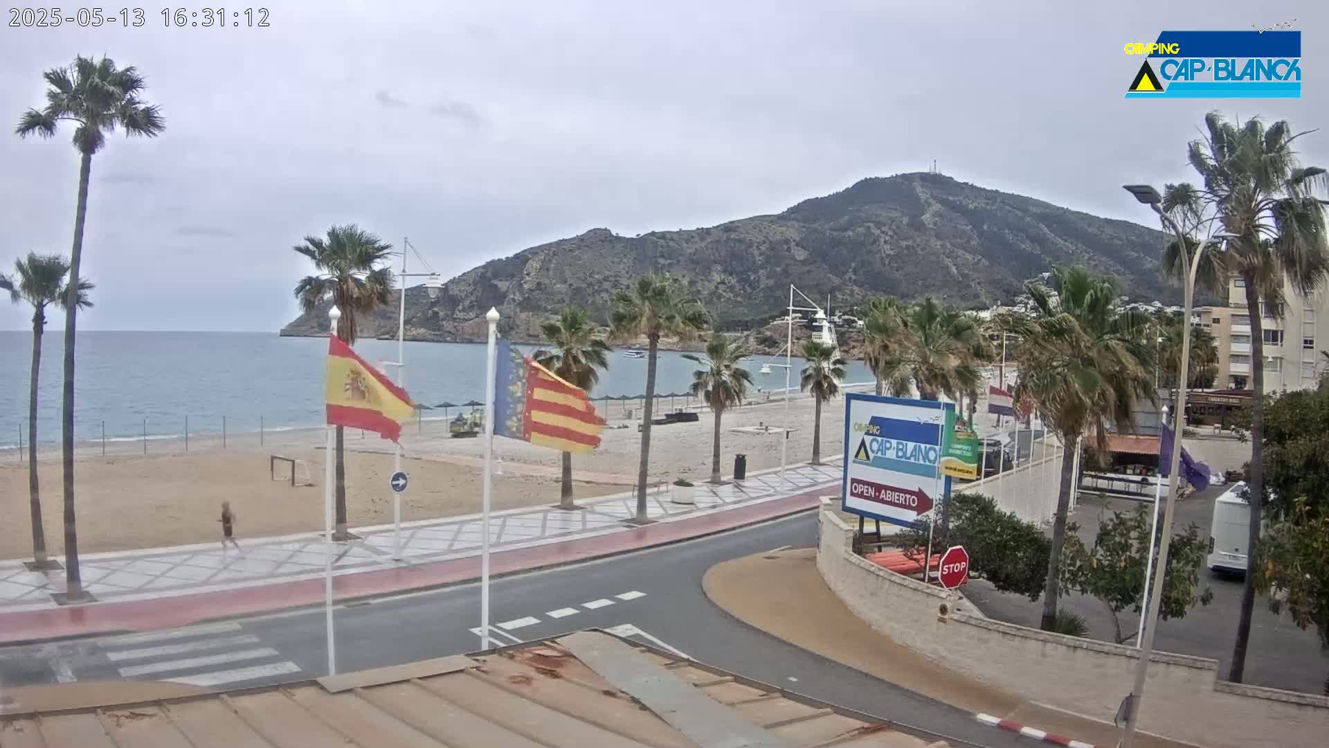 A sandy beach with palm trees and flags lines a calm, blue ocean under an overcast sky, with a mountain in the background.