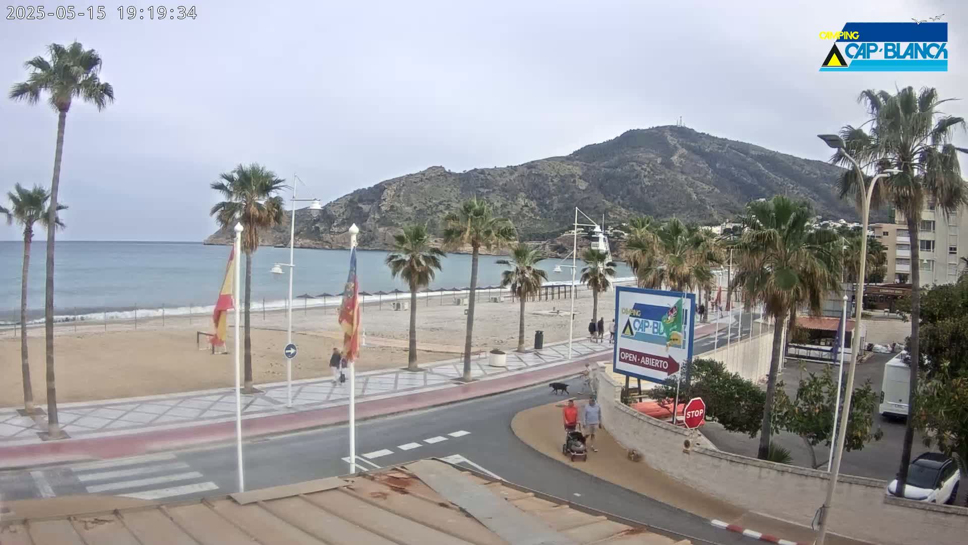 A sandy beach with palm trees lines a calm ocean under an overcast sky, with a paved road and buildings visible beyond the beach.