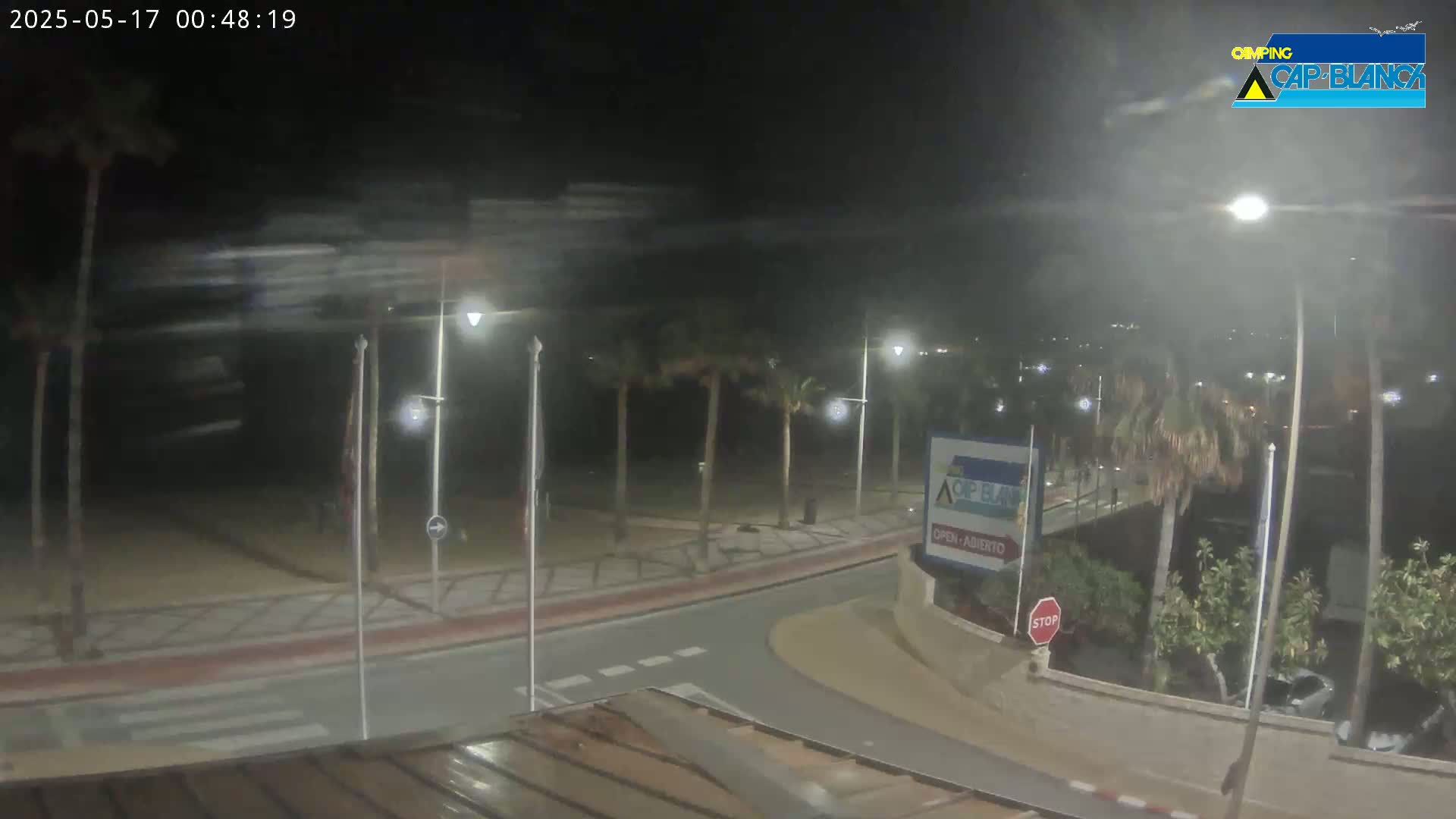 A nighttime, windy scene shows a beachfront road with palm trees and streetlights, under hazy conditions.