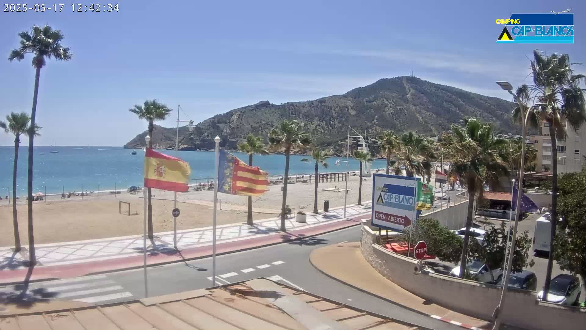 A sandy beach with palm trees and flags lines a paved road next to a calm, blue ocean under a sunny sky, with a mountain in the background.