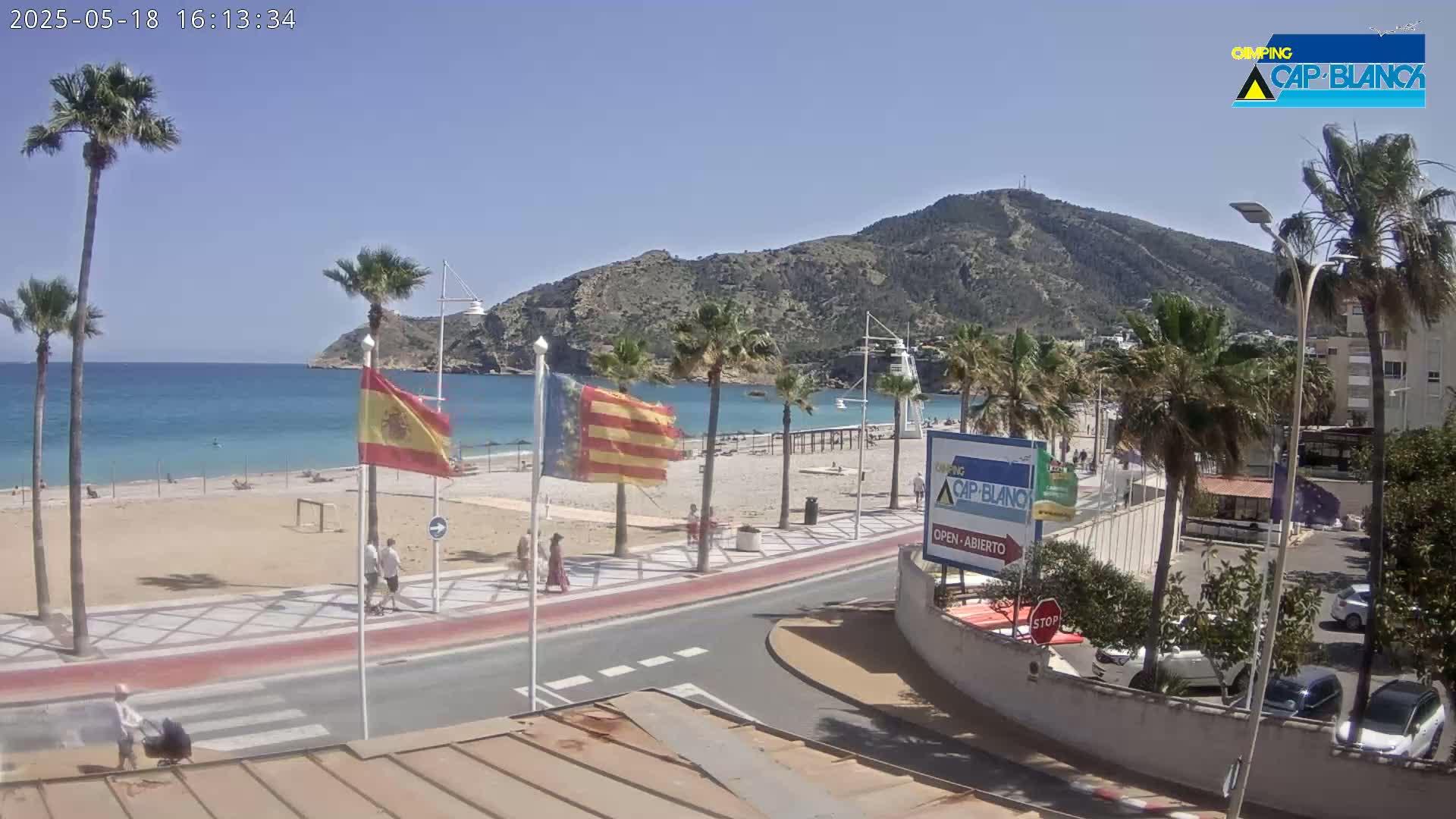 A sunny day at a beach with calm blue water, sandy shore, palm trees, and a mountain in the background.