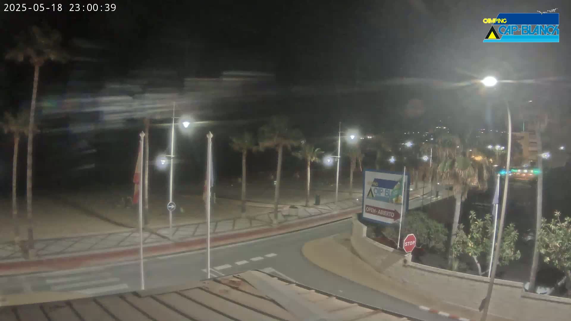 A nighttime view of a palm tree-lined street curving toward a beach, with streetlights illuminating the scene under windy conditions.