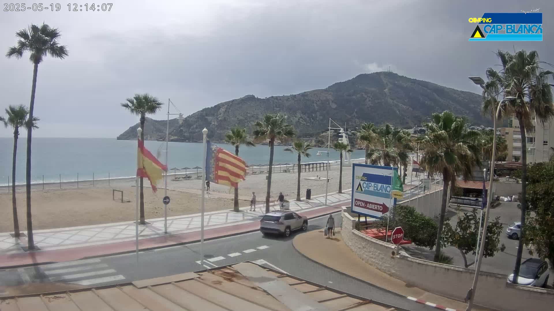 A sandy beach with palm trees and a calm ocean is visible below a mountain under an overcast sky, with a road and several vehicles in the foreground.