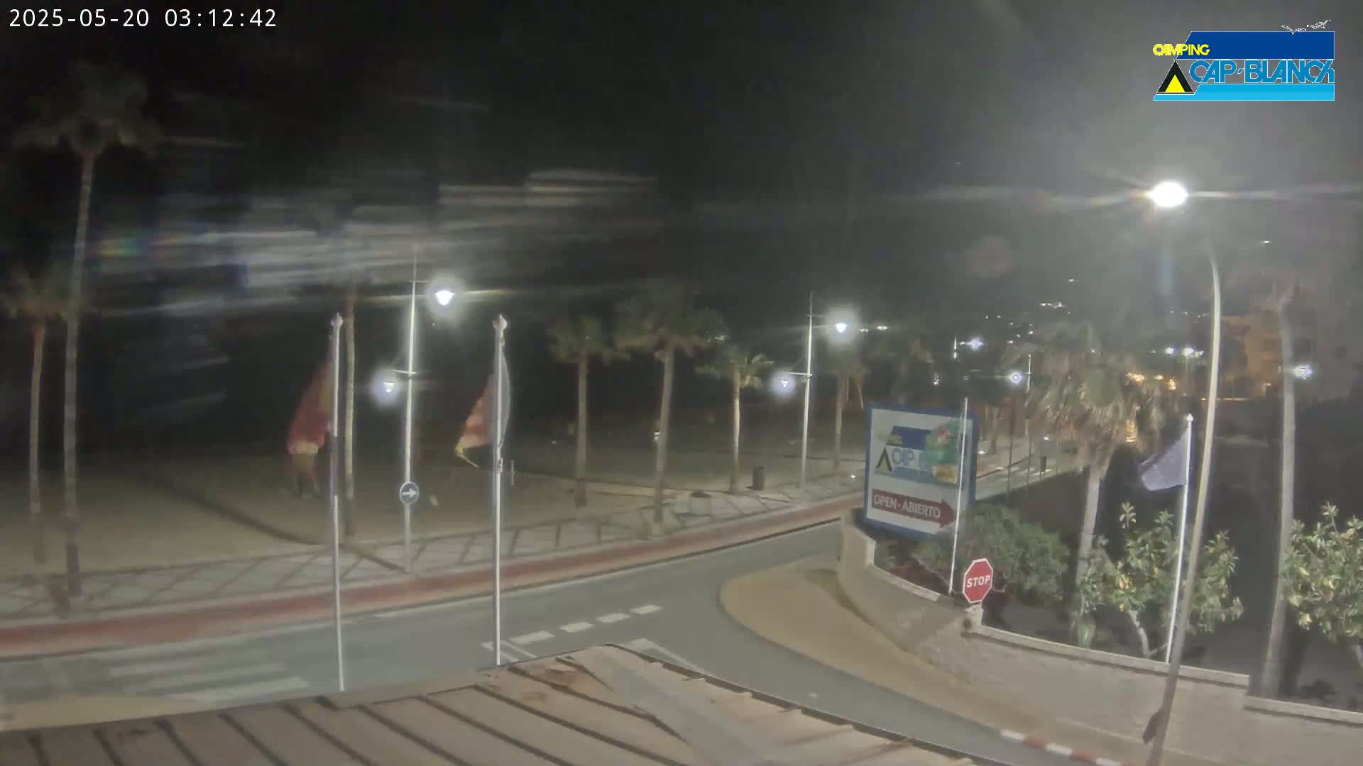 A nighttime view of a beachside road with palm trees, streetlights, and flags, under a dark and cloudy sky.