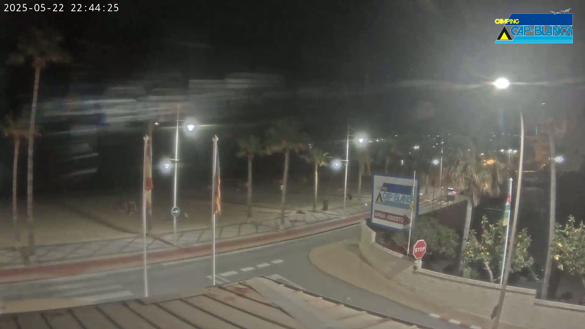 A nighttime view of a palm-tree-lined beachfront road with a few cars, under windy conditions.
