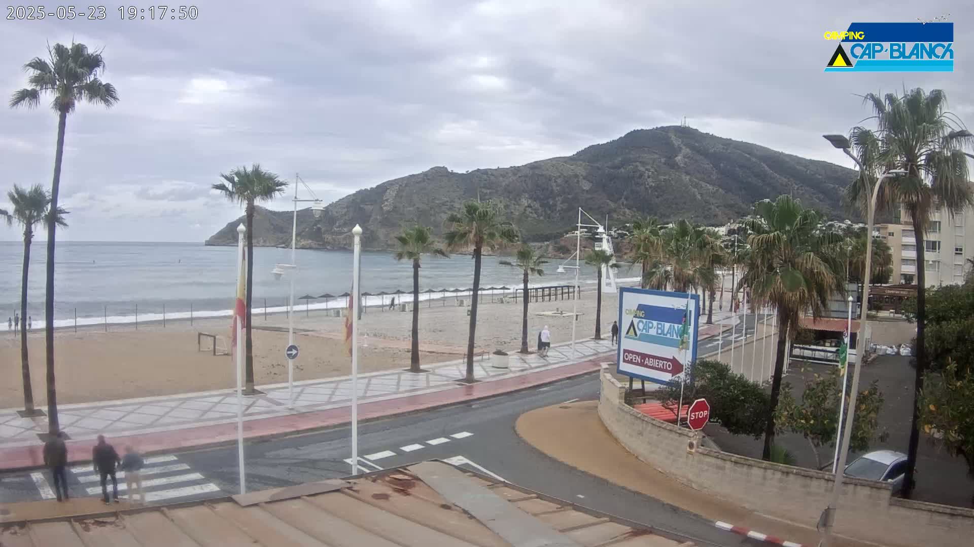A beach with palm trees and a mountain in the background under an overcast sky.