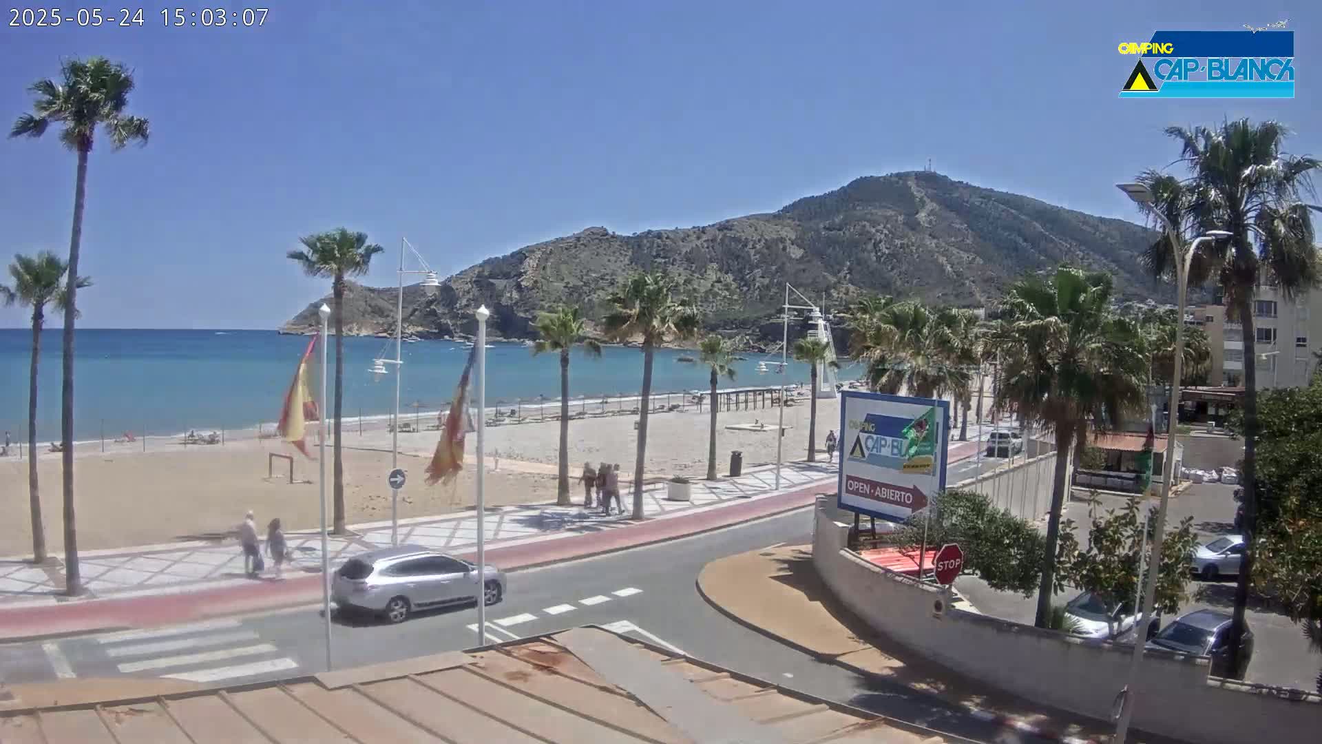 A sunny beach scene with palm trees, a sandy shore, calm ocean water, and a mountainous background.