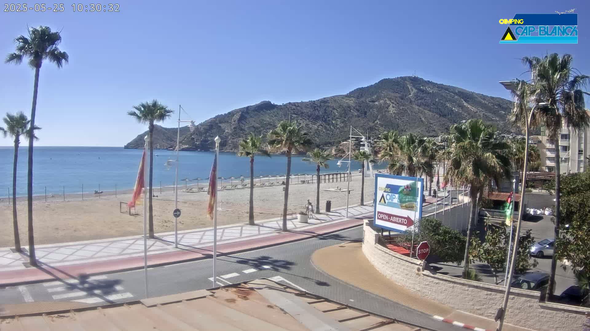 A sandy beach with palm trees and a calm blue sea is situated beneath a large mountain on a sunny day.