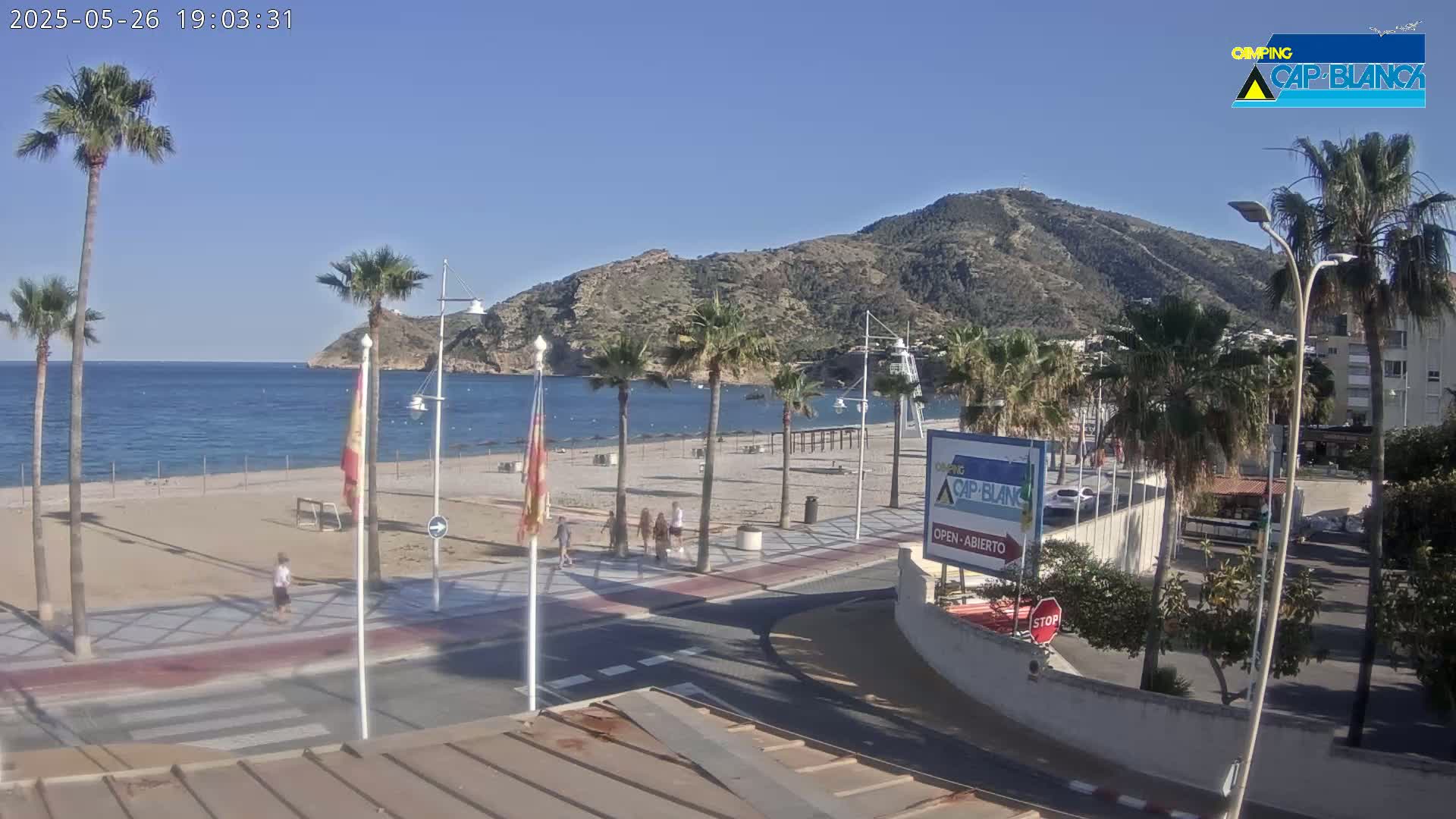 A sandy beach with palm trees and a calm ocean is situated next to a road and buildings under a clear blue sky.