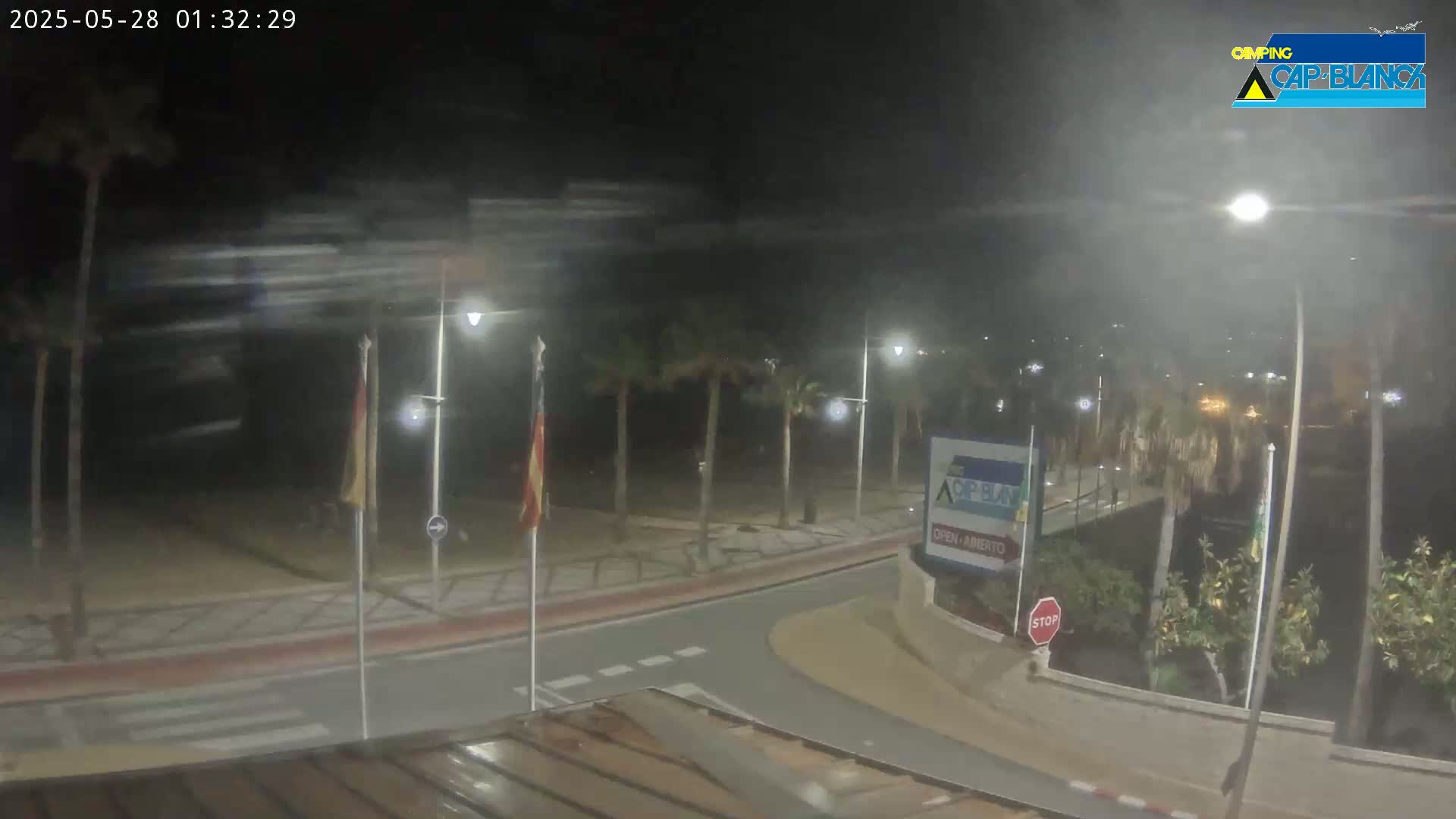A nighttime, windy scene shows a paved road curving through a palm tree-lined area near a beach, with streetlights illuminating the scene.