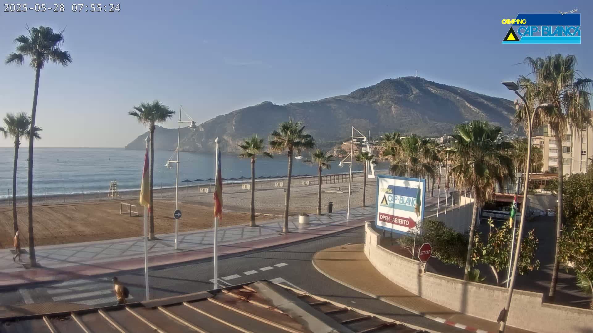 A sandy beach with palm trees lines a paved road leading to a calm ocean under a clear blue sky, with a mountain in the background.