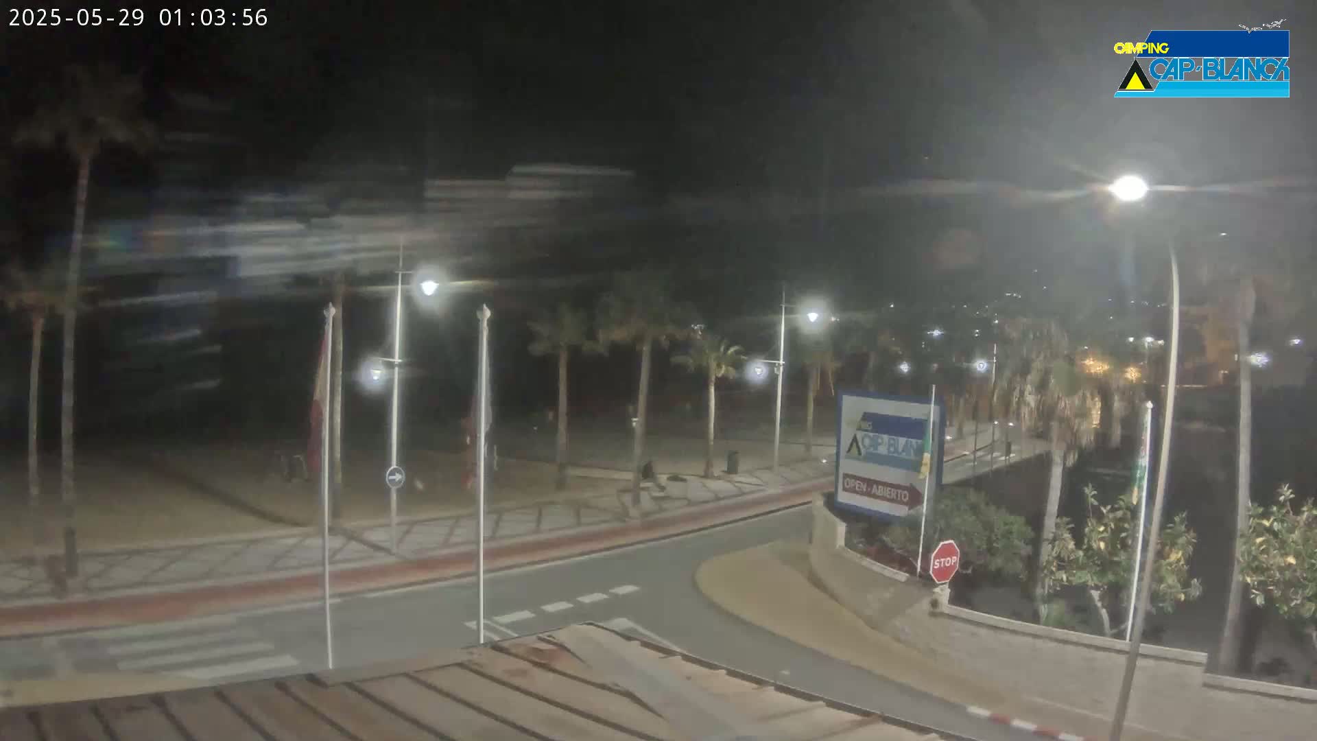 A nighttime view of a palm tree-lined roadway curving toward a beach, under clear skies.