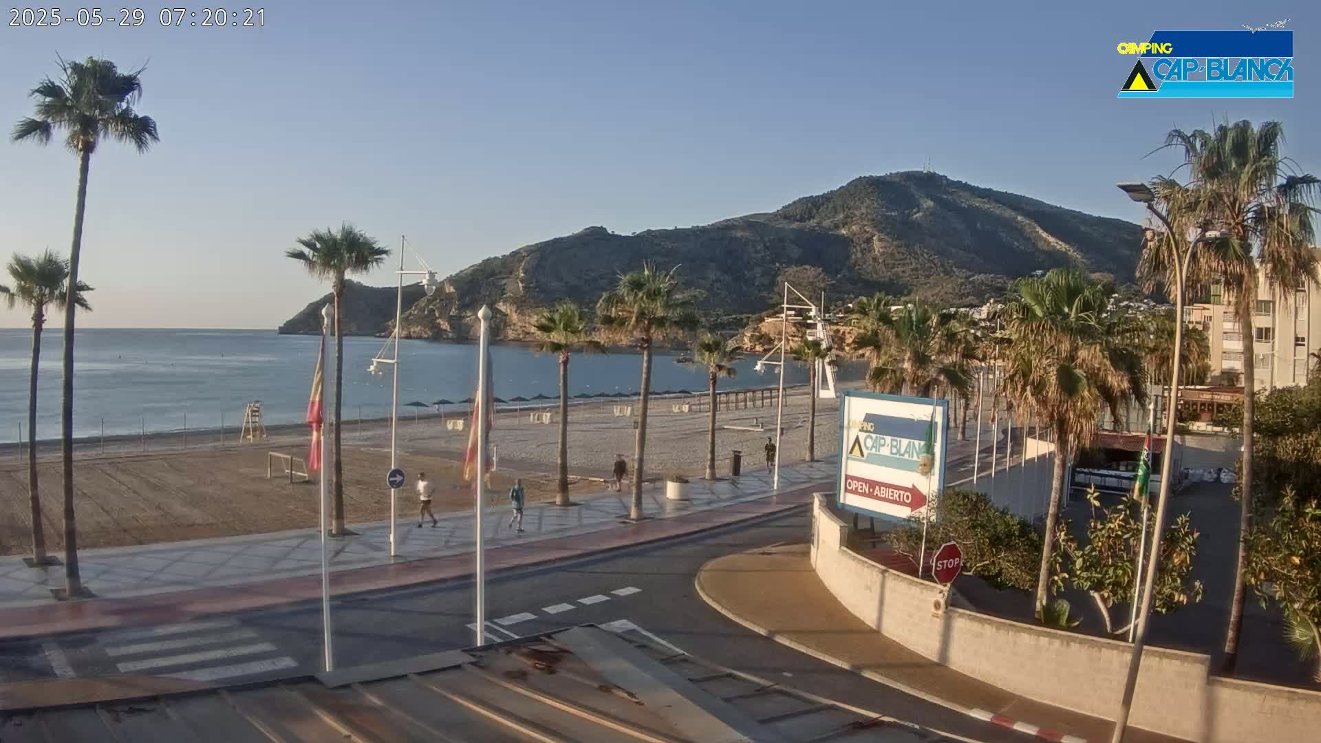 A mostly sunny beach scene with palm trees, a calm sea, and a mountain in the background.