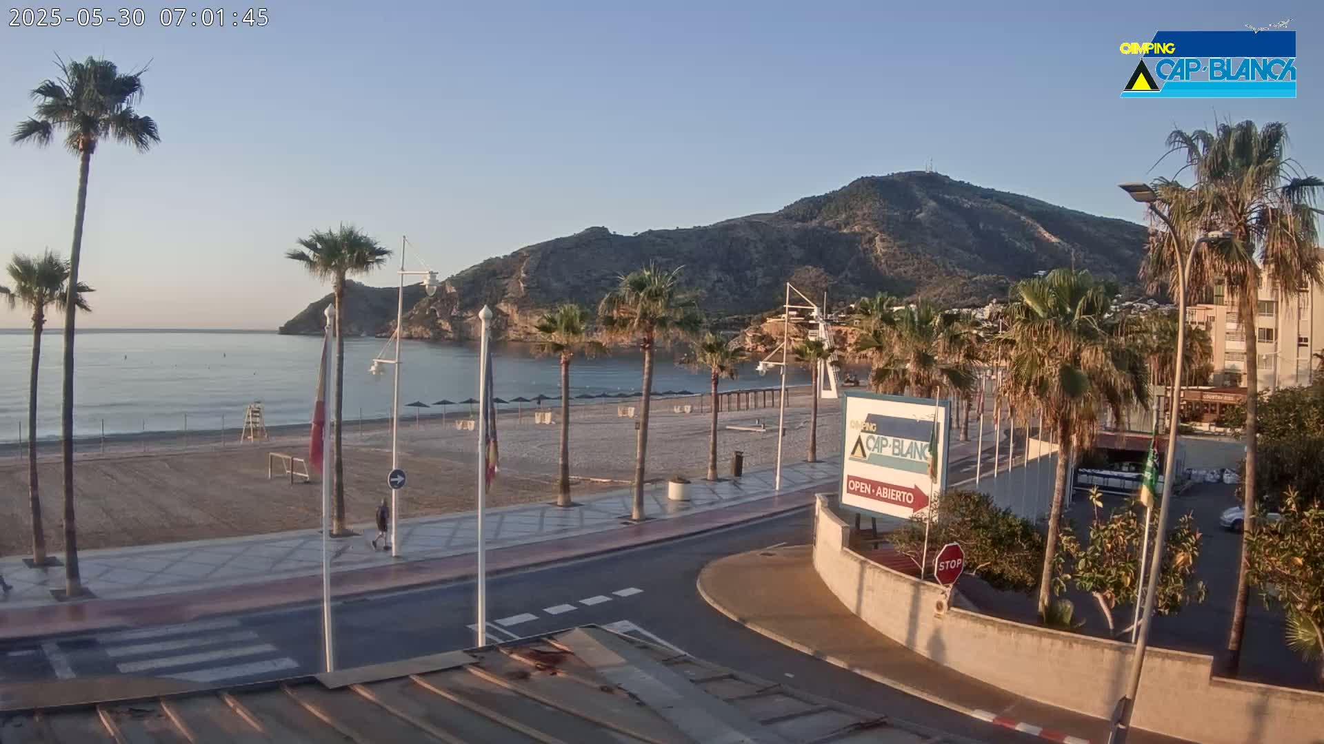 A sandy beach with palm trees and a calm ocean is visible under a clear, bright sky, with a large mountain in the background.