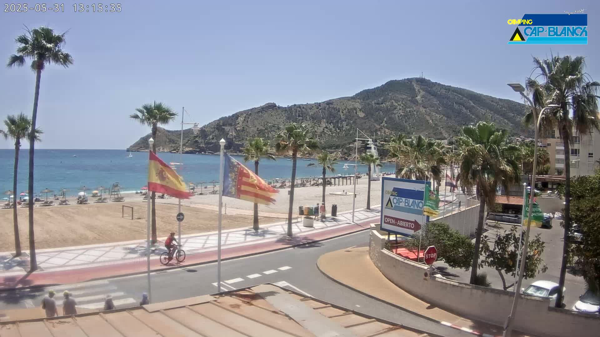 A sandy beach with palm trees and a few people is situated beside a calm blue ocean under a clear sky, next to a road and a parking lot, with mountains in the background.