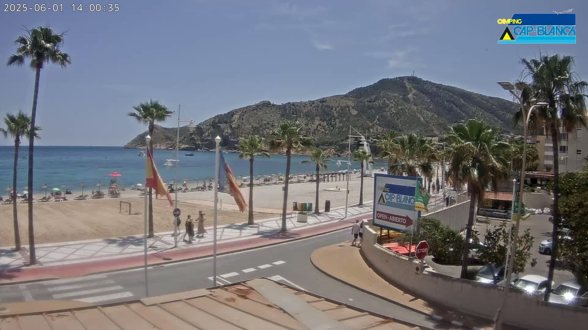 A sunny beach scene shows a sandy beach with palm trees, a calm ocean, and a mountain in the background.