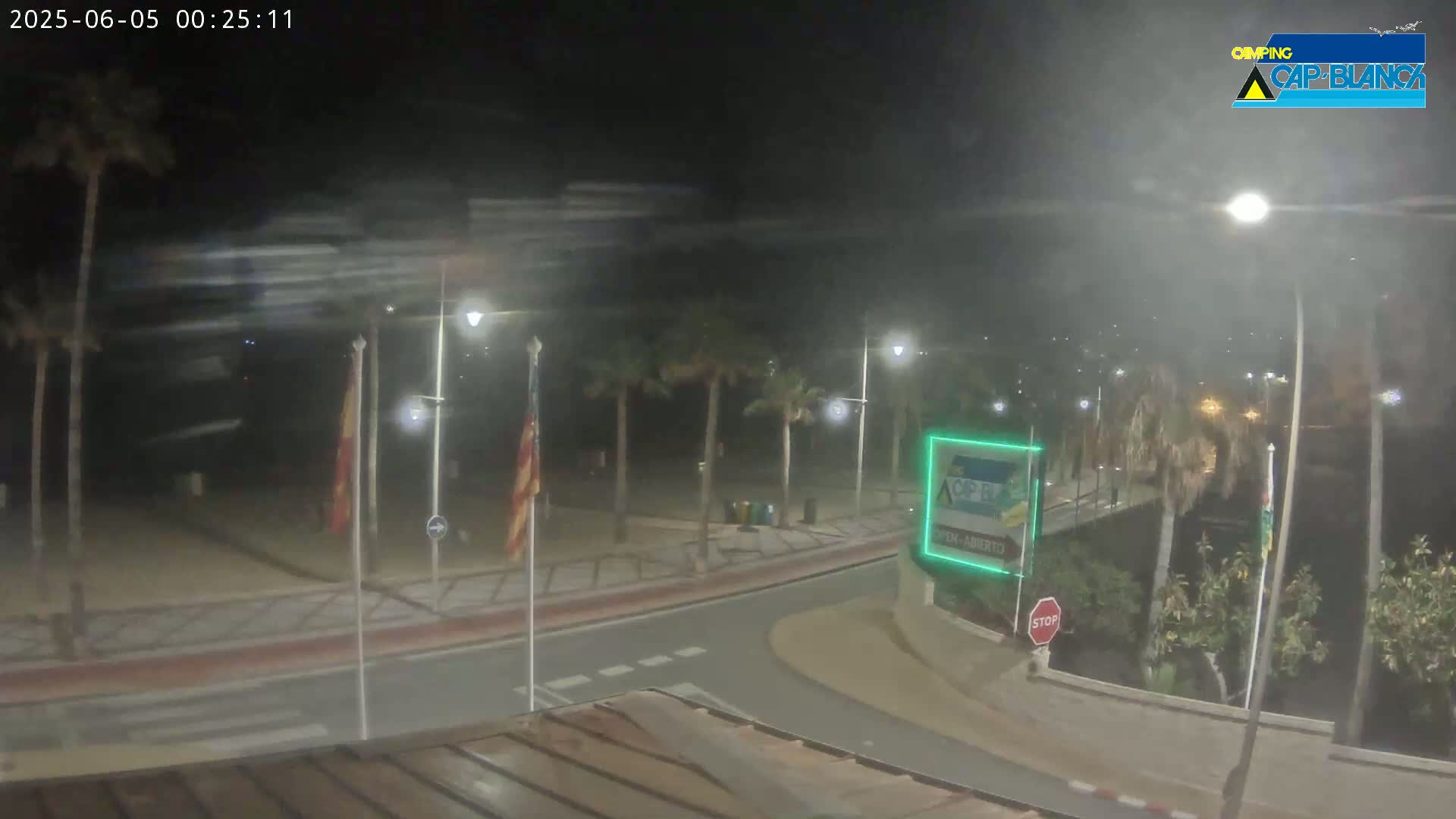 A nighttime view of a beachside promenade with palm trees, streetlights, and flags under windy conditions.