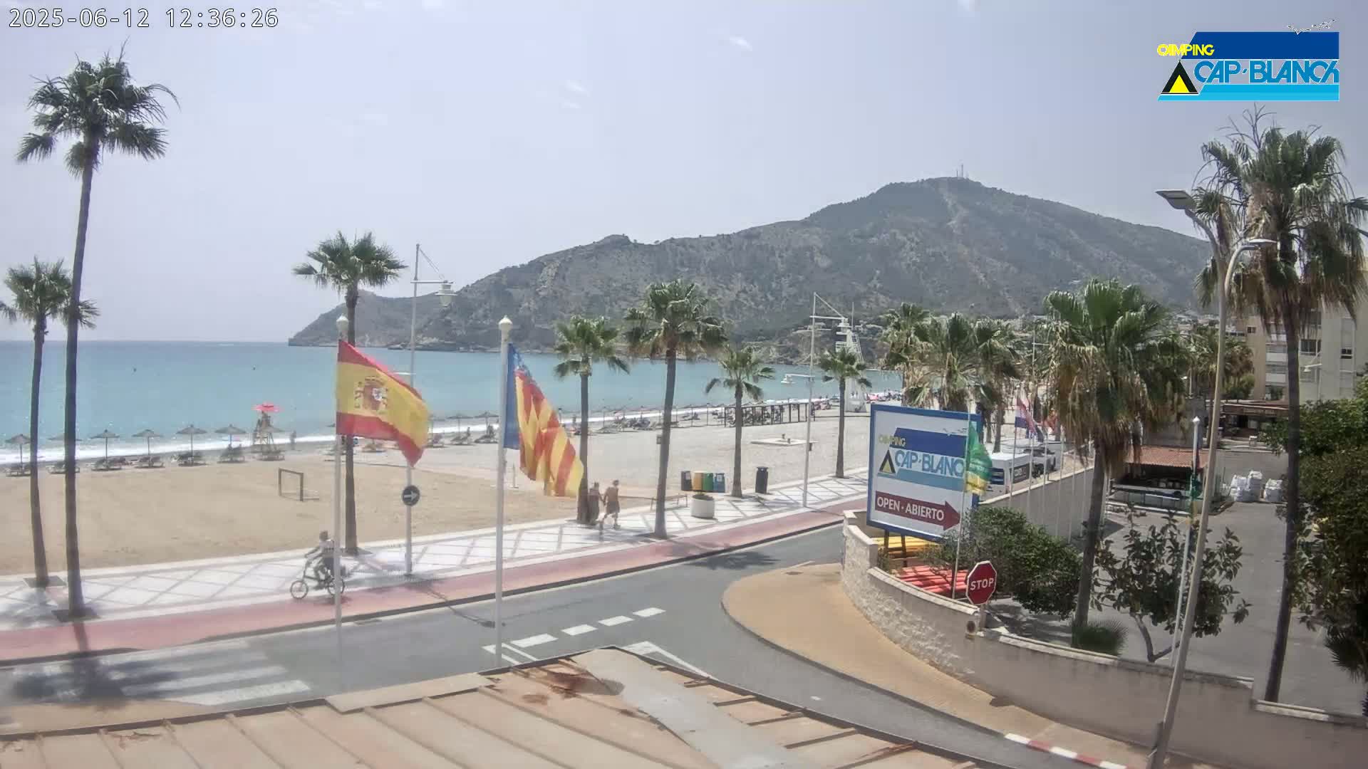 A sandy beach with calm, turquoise water is backed by palm trees, a roadway, and a mountain under a sunny sky.