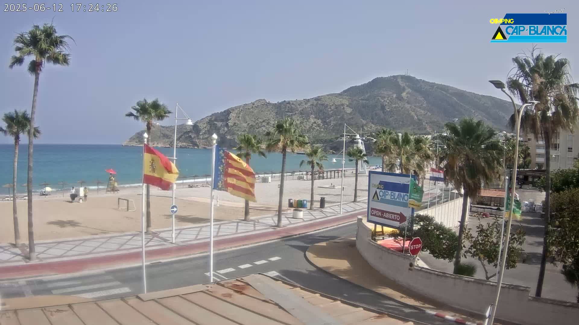 A sandy beach with palm trees and flags lines a calm, blue ocean under a clear sky, backed by a large mountain.