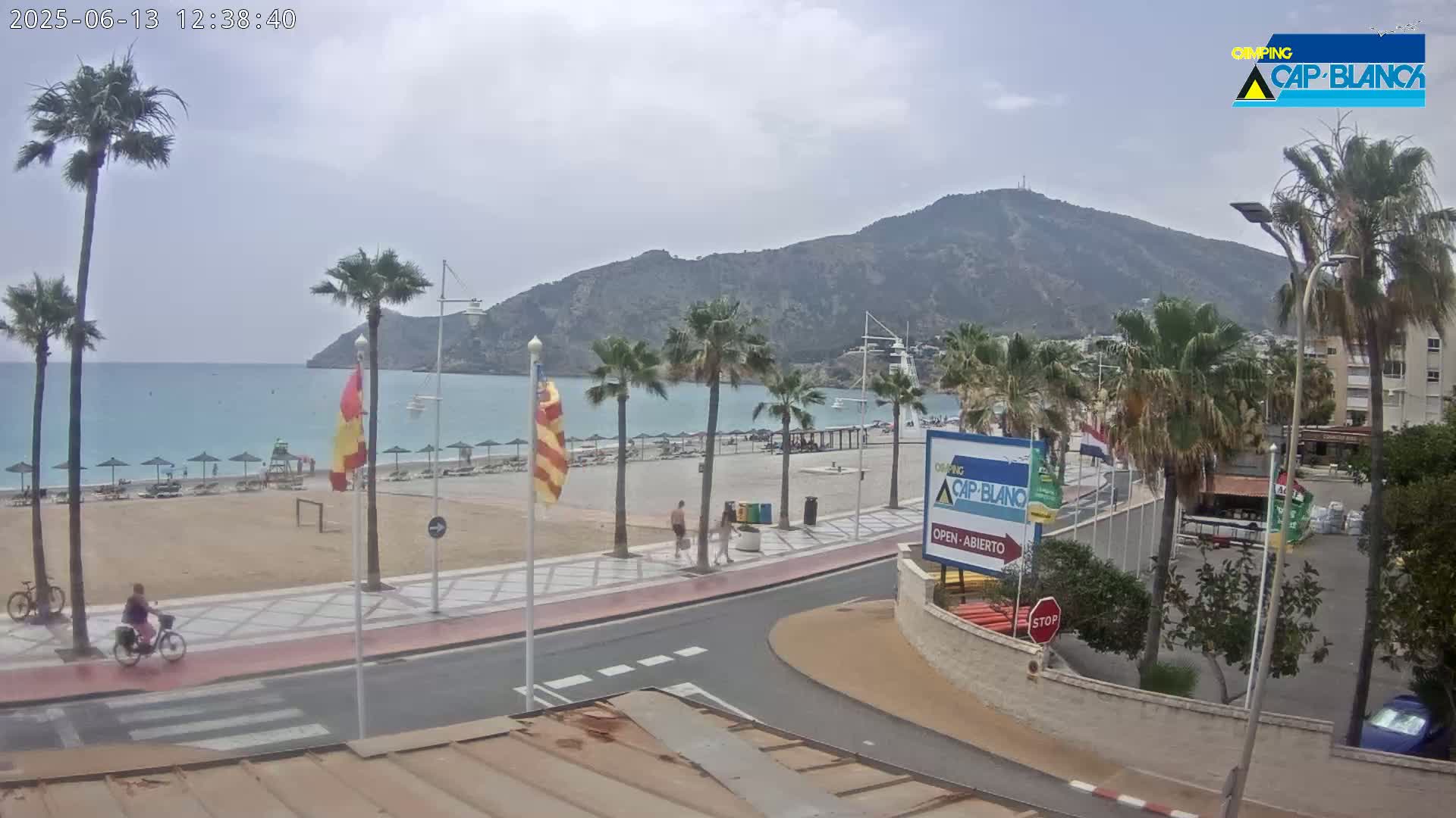A sandy beach with palm trees and a few people is next to a paved walkway that curves towards a mountain under an overcast sky.