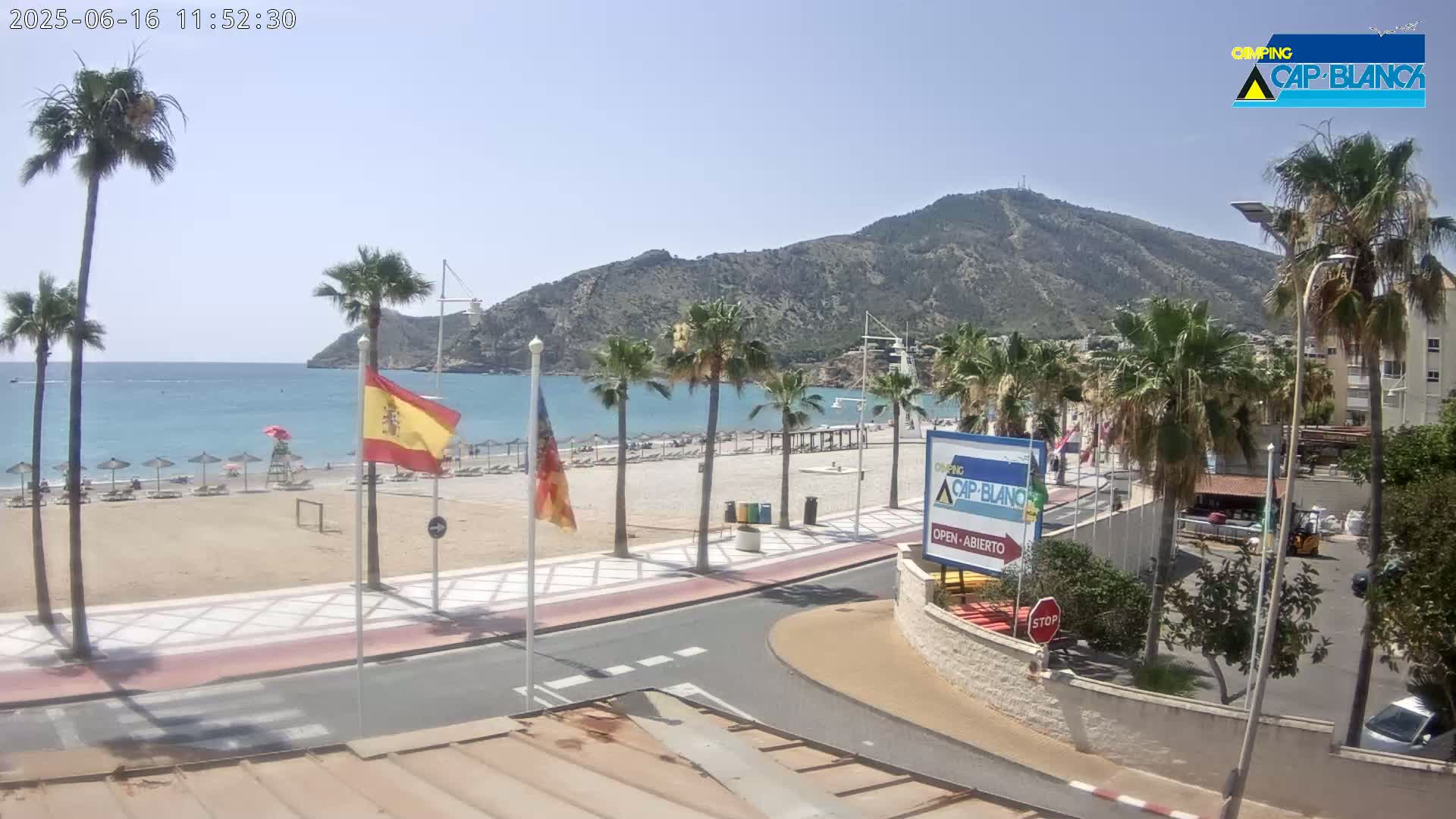 A sandy beach with palm trees and a calm ocean is situated below a large mountain on a sunny day.
