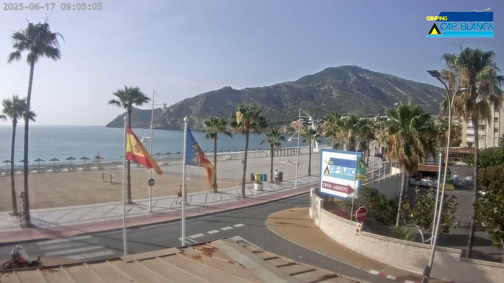 A sandy beach with palm trees and a calm sea is visible beneath a clear sky and a mountain in the background.