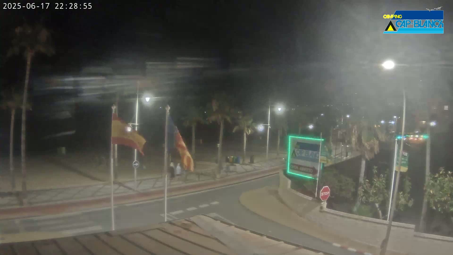 A nighttime view of a beachside promenade with palm trees, streetlights, and flags, under windy conditions.