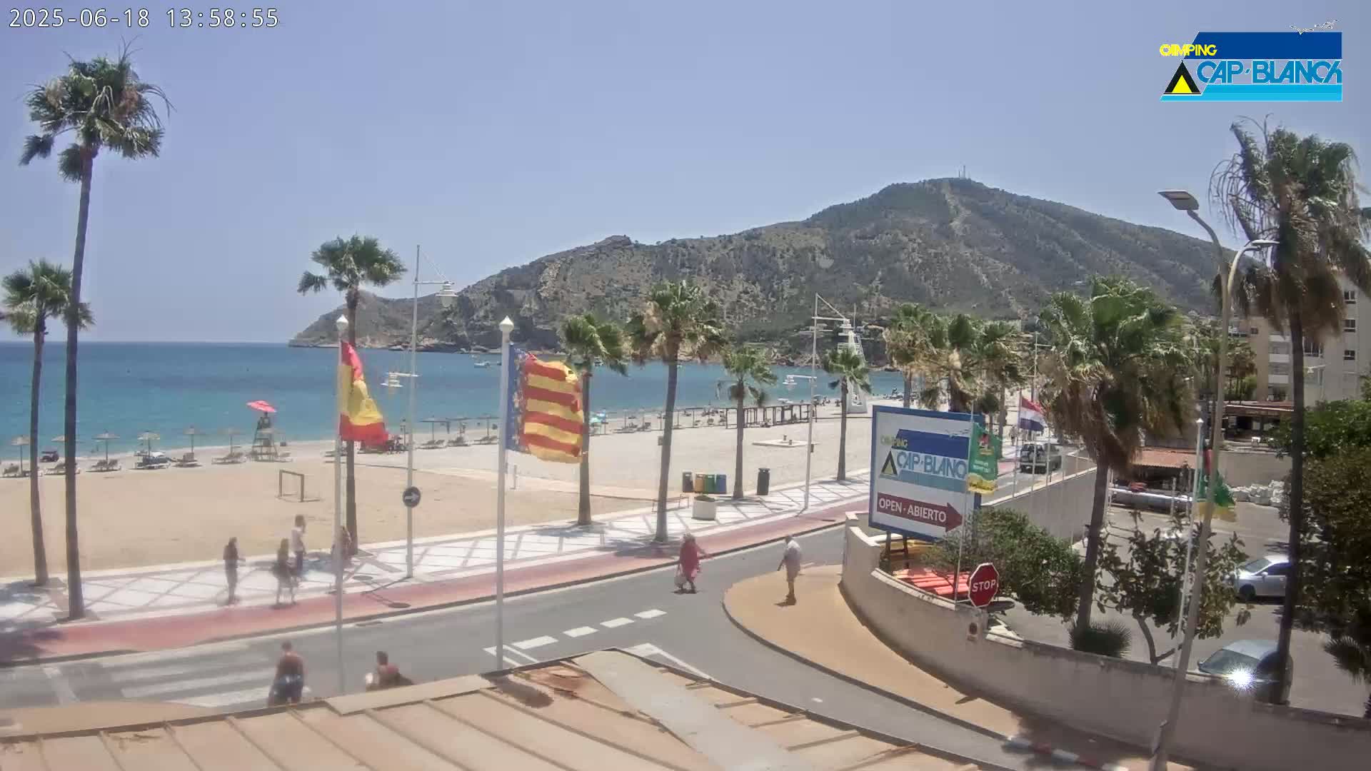 A sunny beach scene shows a sandy beach with people, palm trees, a calm ocean, and a mountain in the background.