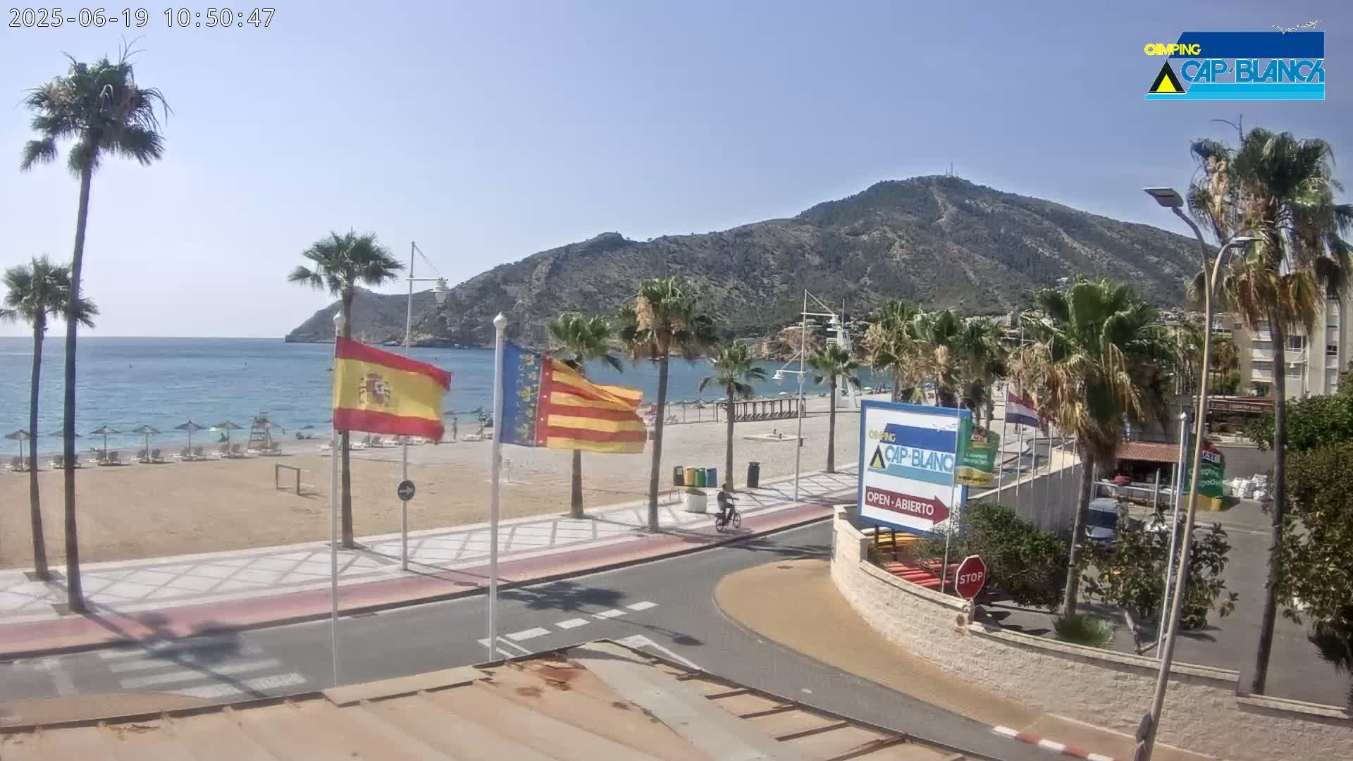 A sandy beach with palm trees and flags lines a calm, blue ocean under a clear sky, with a mountain in the background.