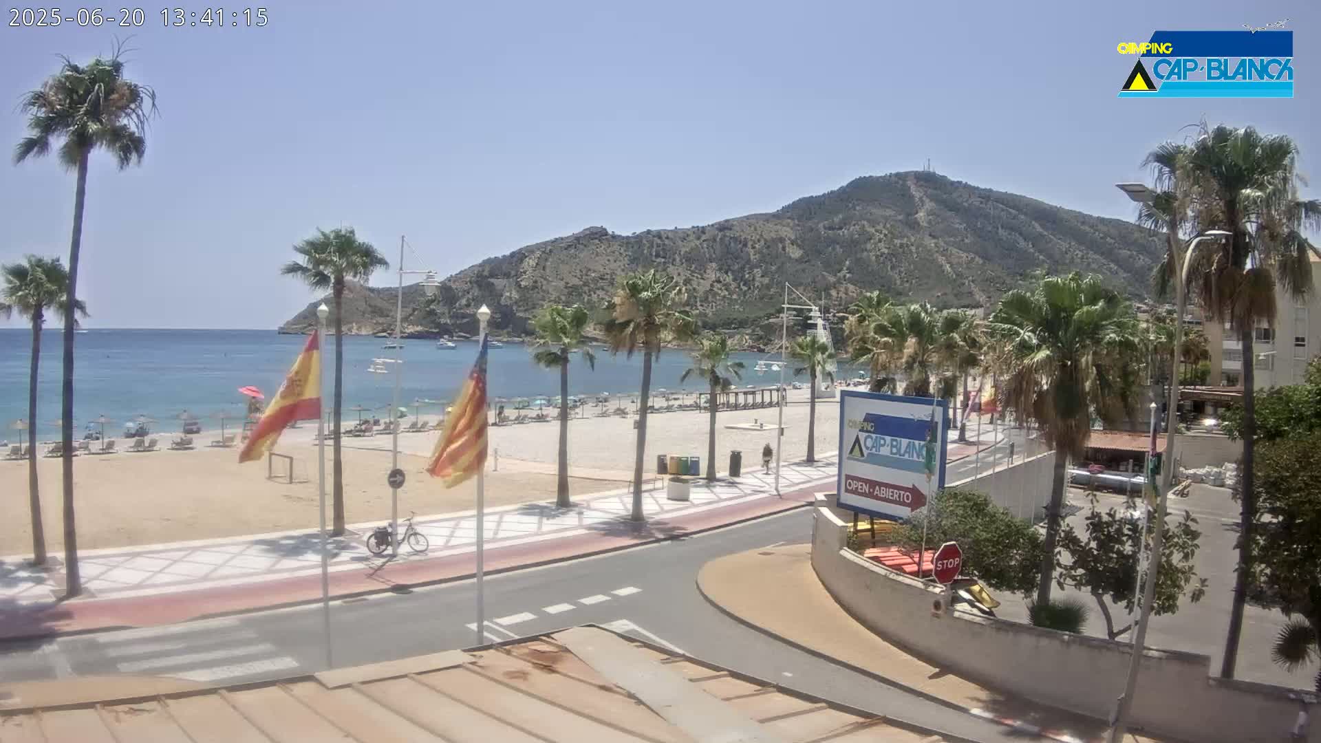 A sandy beach with palm trees and calm blue water is viewed from above on a sunny day, with a mountain visible in the background.