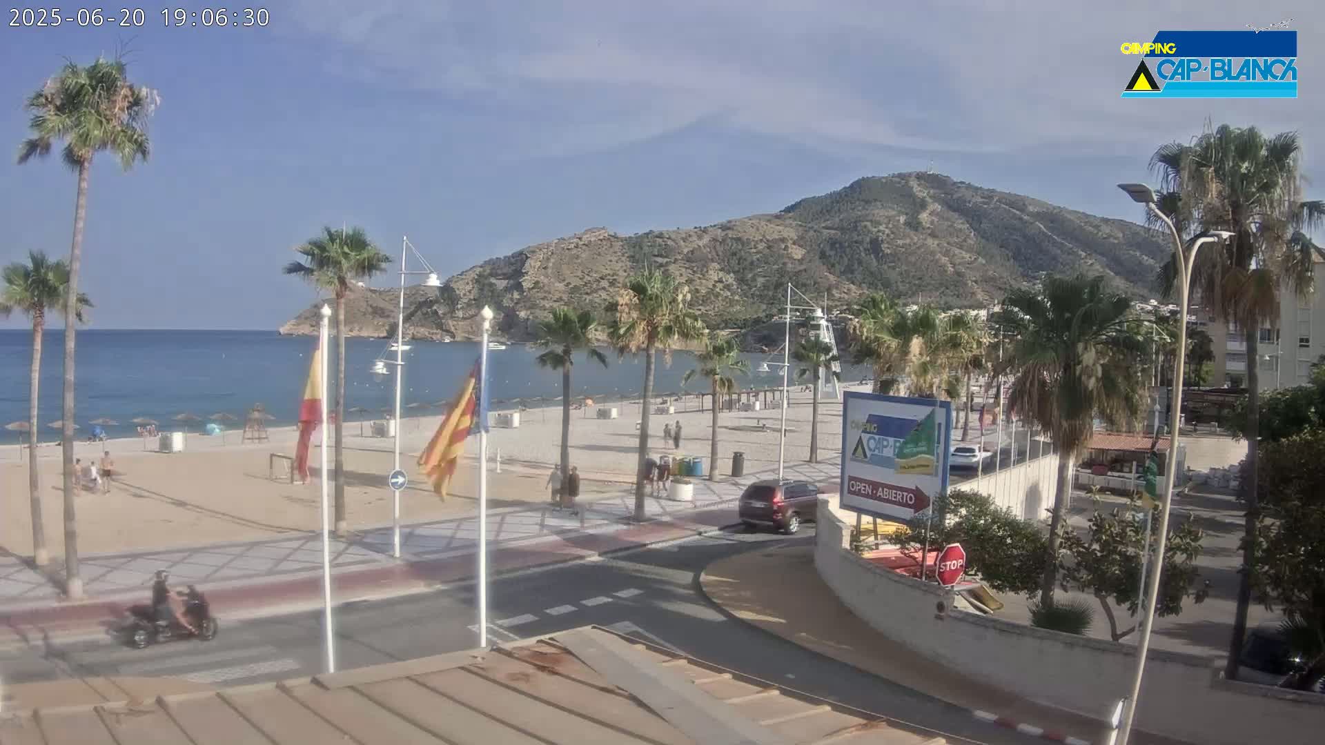 A sandy beach with palm trees and a calm ocean is situated beneath a mountain on a sunny day.