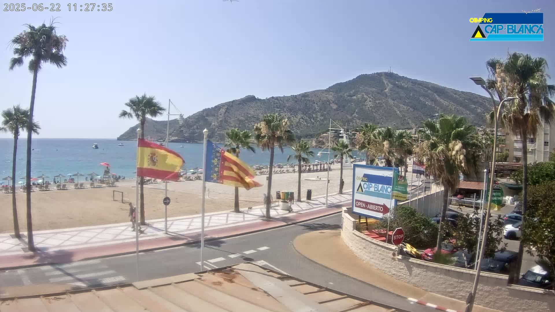 A sandy beach with palm trees and people on a sunny day overlooks a calm ocean and a mountain in the background.