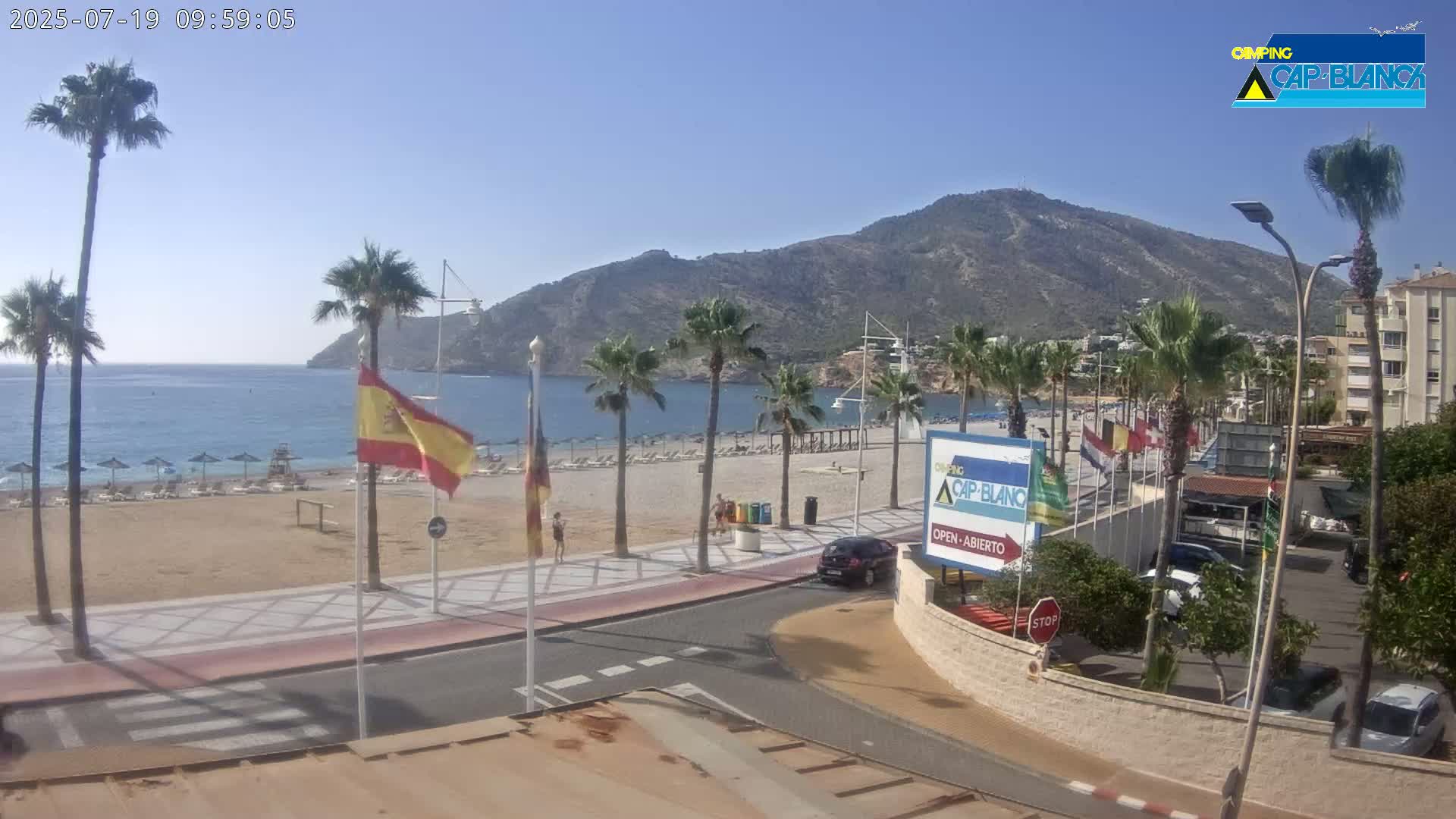 A sunny beach scene with palm trees, a calm sea, and a mountain in the background.