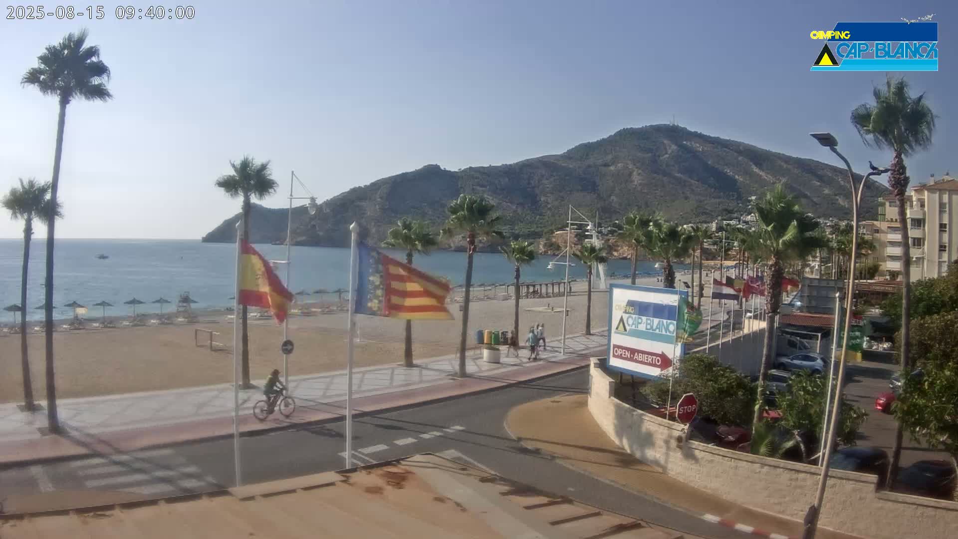 A sandy beach with palm trees and flags lines a promenade next to calm ocean water and a large hill under a clear, sunny sky.