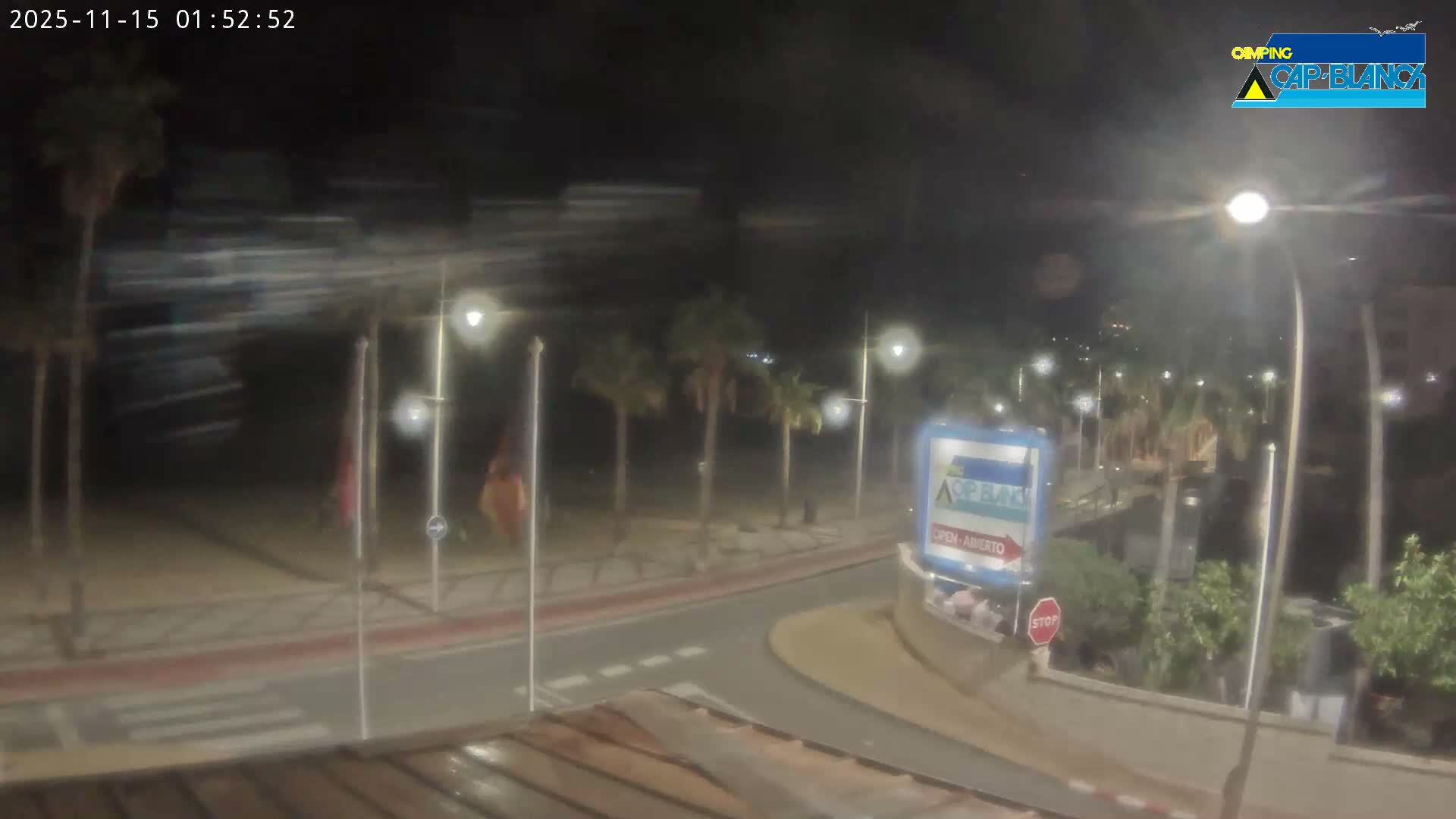 It is a clear, dark night, with streetlights illuminating a paved road featuring crosswalk markings, palm trees, and flags on poles, with distant lights in the background.