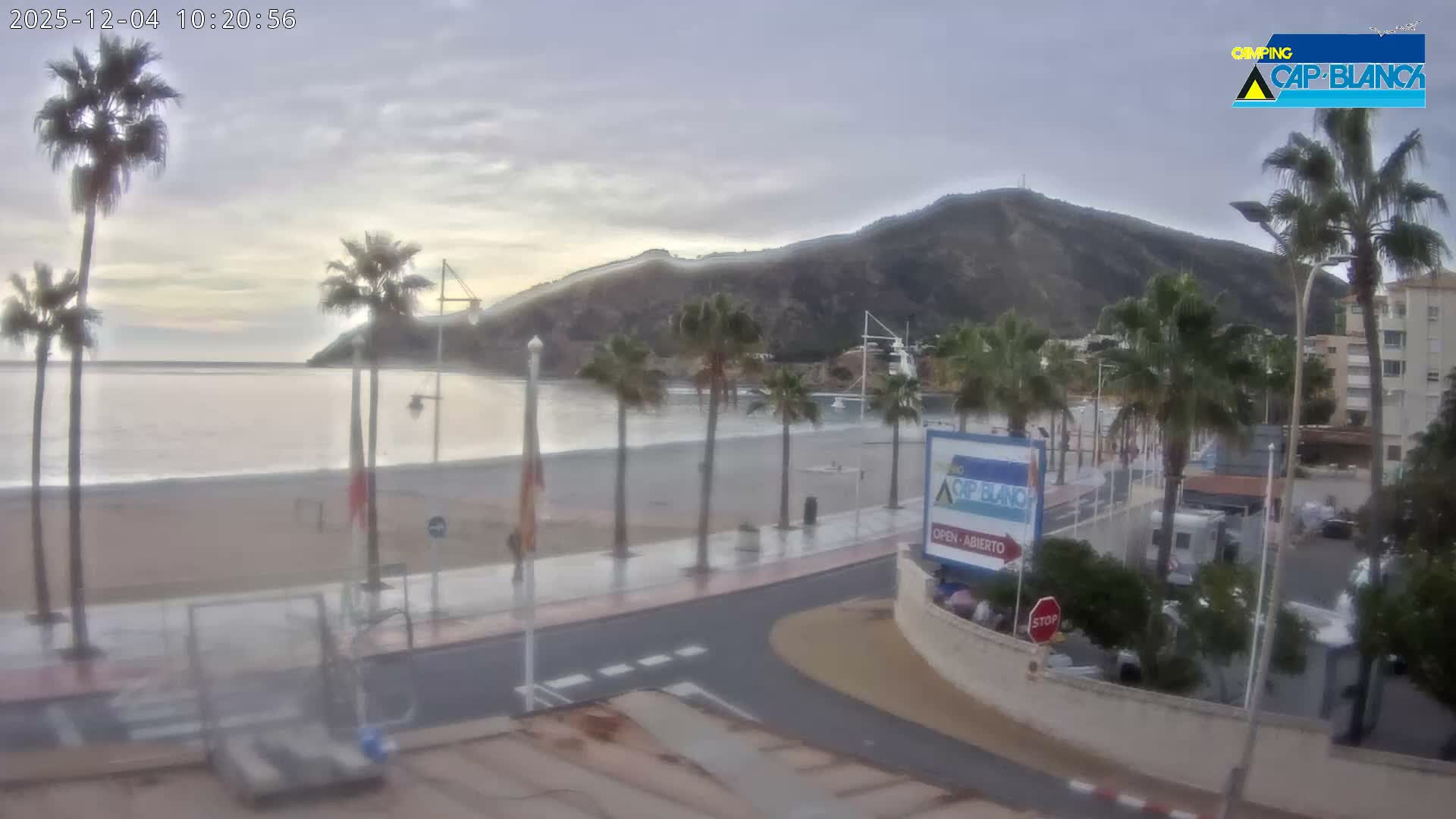 A wet promenade and sandy beach, bordered by palm trees, lead to a calm sea with a large mountain range in the distance, all under an overcast and damp sky.