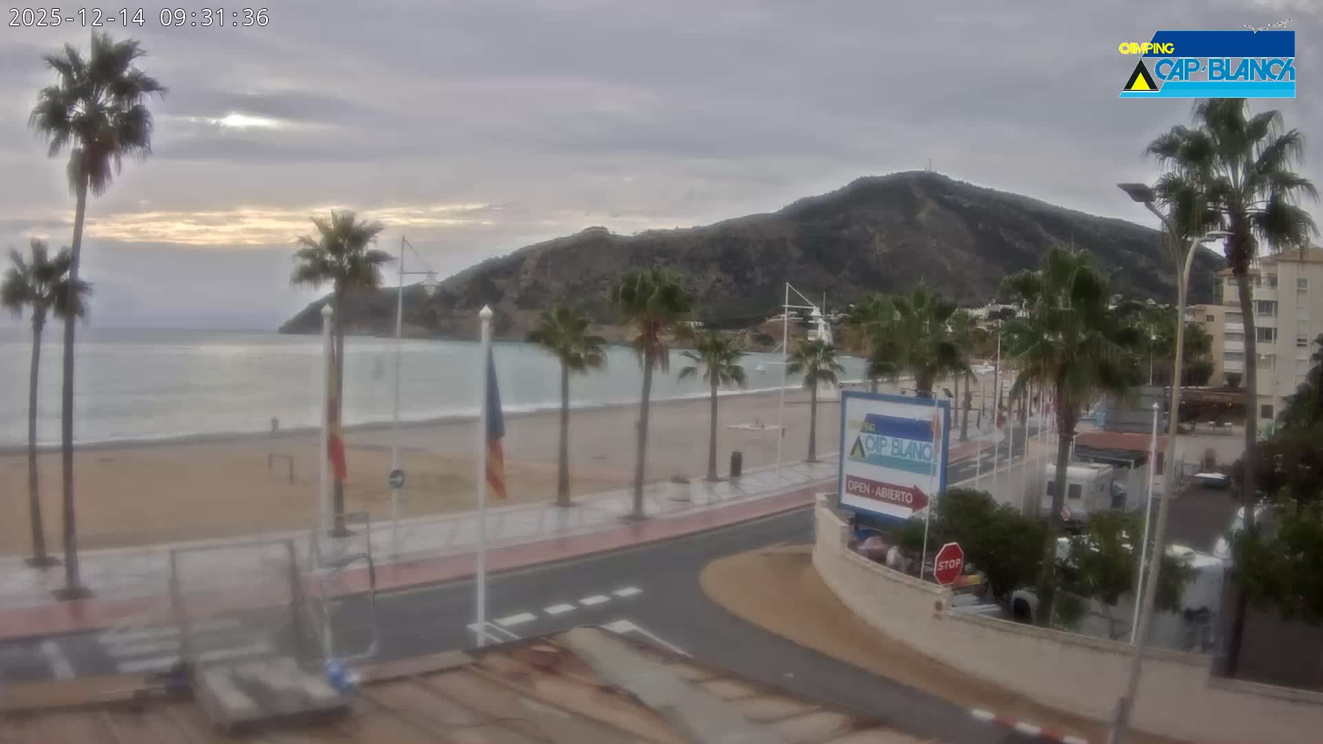 A wet promenade and sandy beach, bordered by palm trees, lead to a calm sea with a large mountain range in the distance, all under an overcast and damp sky.
