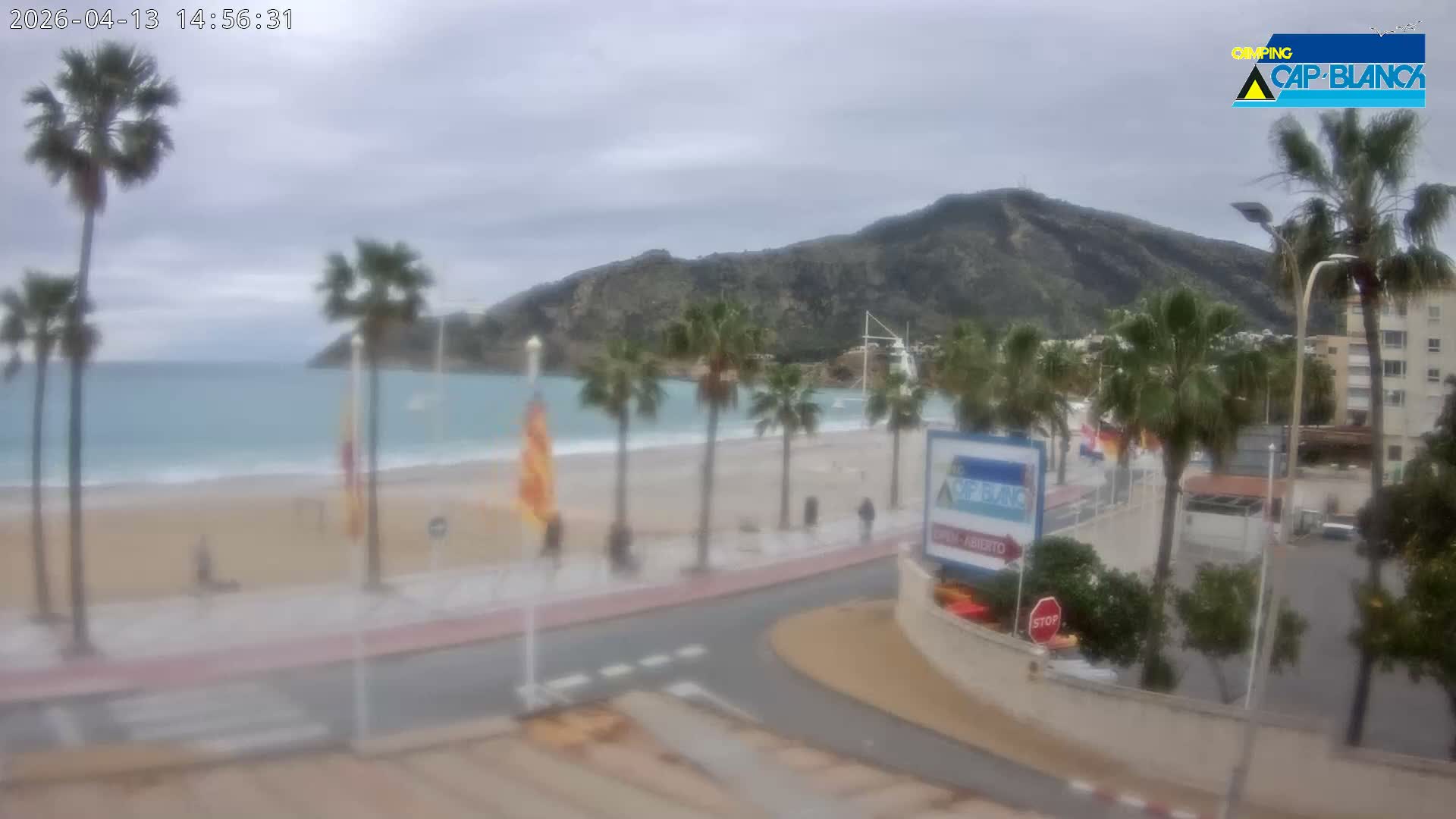 A wet promenade and sandy beach, bordered by palm trees, lead to a calm sea with a large mountain range in the distance, all under an overcast and damp sky.