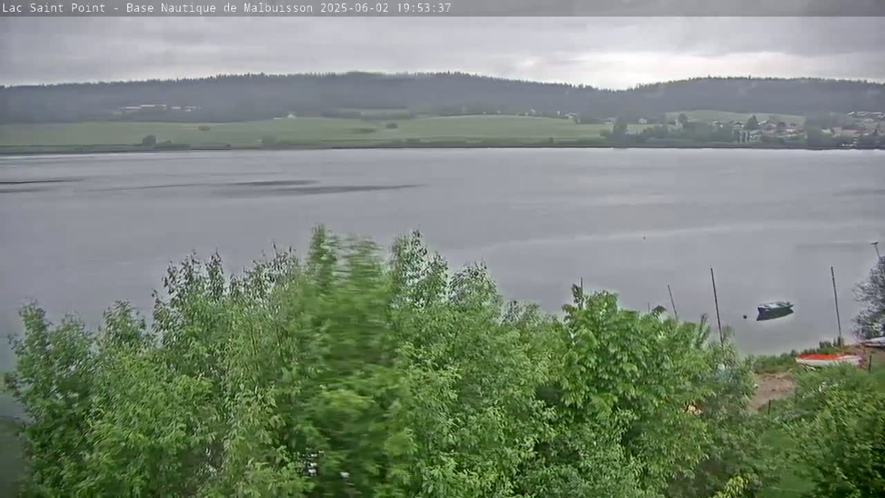 A calm, gray day overlooks a large body of water, with a distant shoreline of trees and fields, and lush green vegetation in the foreground.