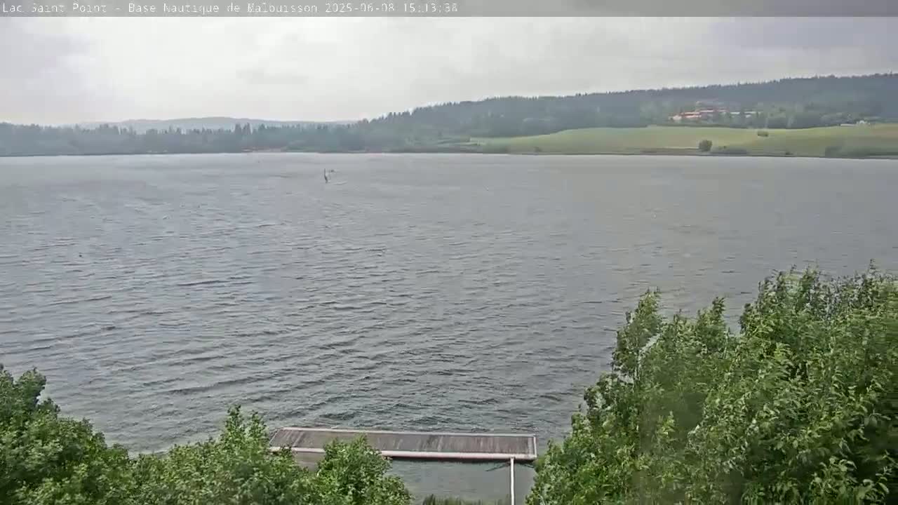A large body of water with slight ripples under an overcast sky is viewed from a vantage point partially obscured by green trees and bushes, showing a distant shoreline with trees and fields.