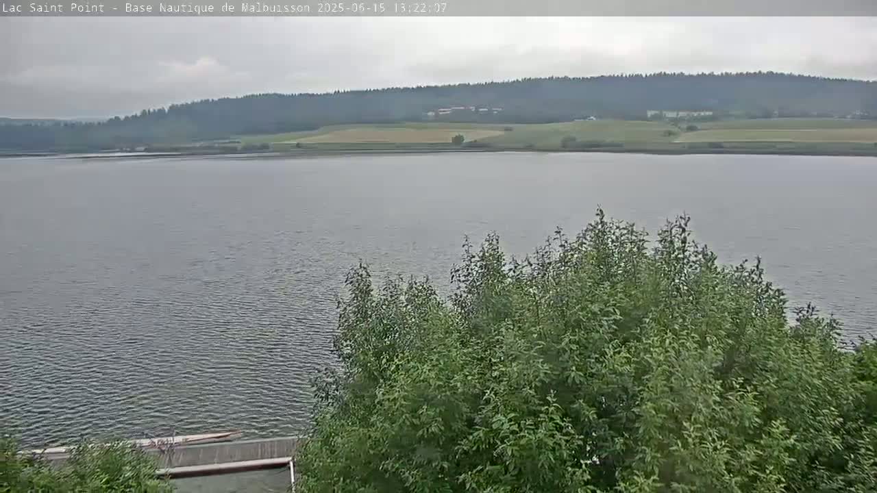 A calm lake stretches out to a distant shoreline of fields and forest under an overcast sky, partially obscured by a foreground of lush green trees.