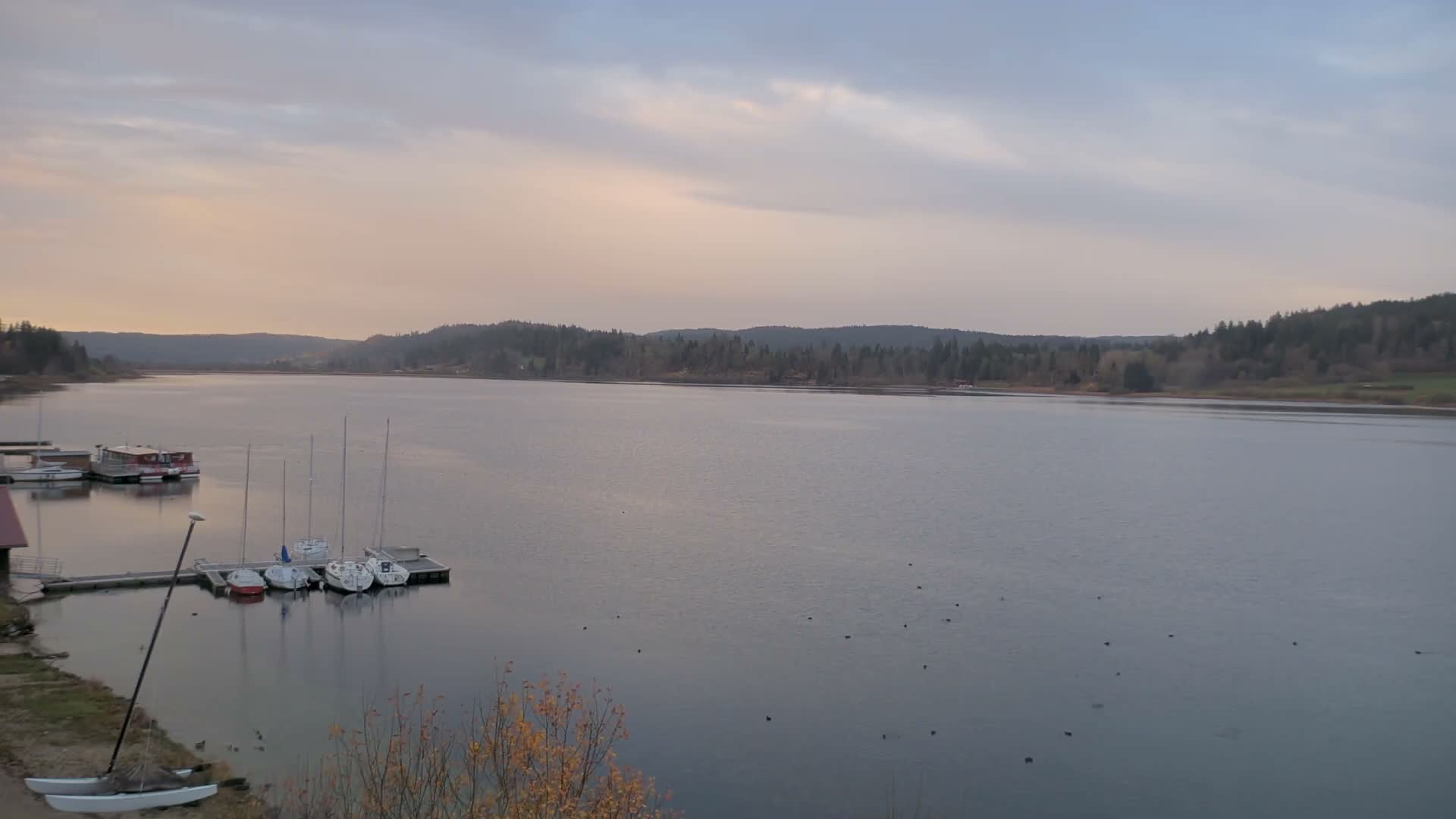 Malbuisson, Lac Saint Point Lake from Base Nautique de Malbuisson Nautical Base Live Cam -  Pontarlier, Doubs, Bourgogne-Franche-Comté, France