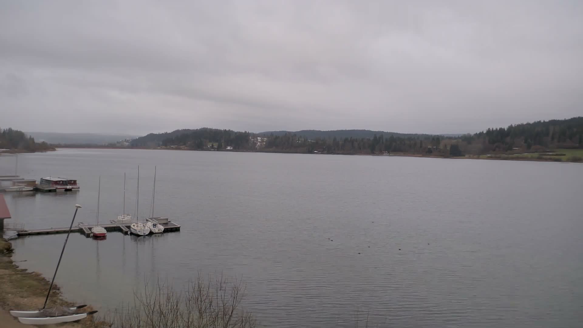 Malbuisson, Lac Saint Point Lake from Base Nautique de Malbuisson Nautical Base Live Cam -  Pontarlier, Doubs, Bourgogne-Franche-Comté, France