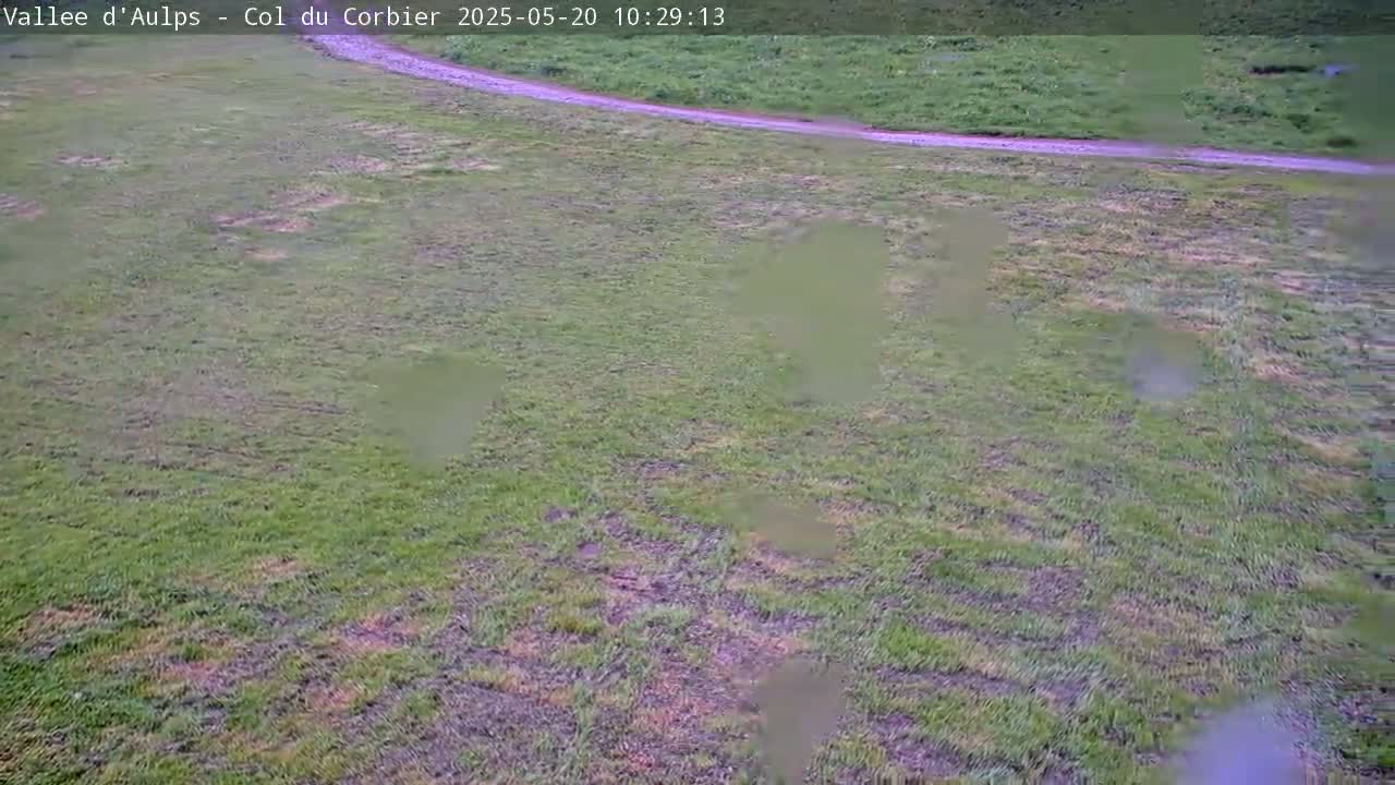 A grassy field with a dirt road curving through it is shown during rainy weather.