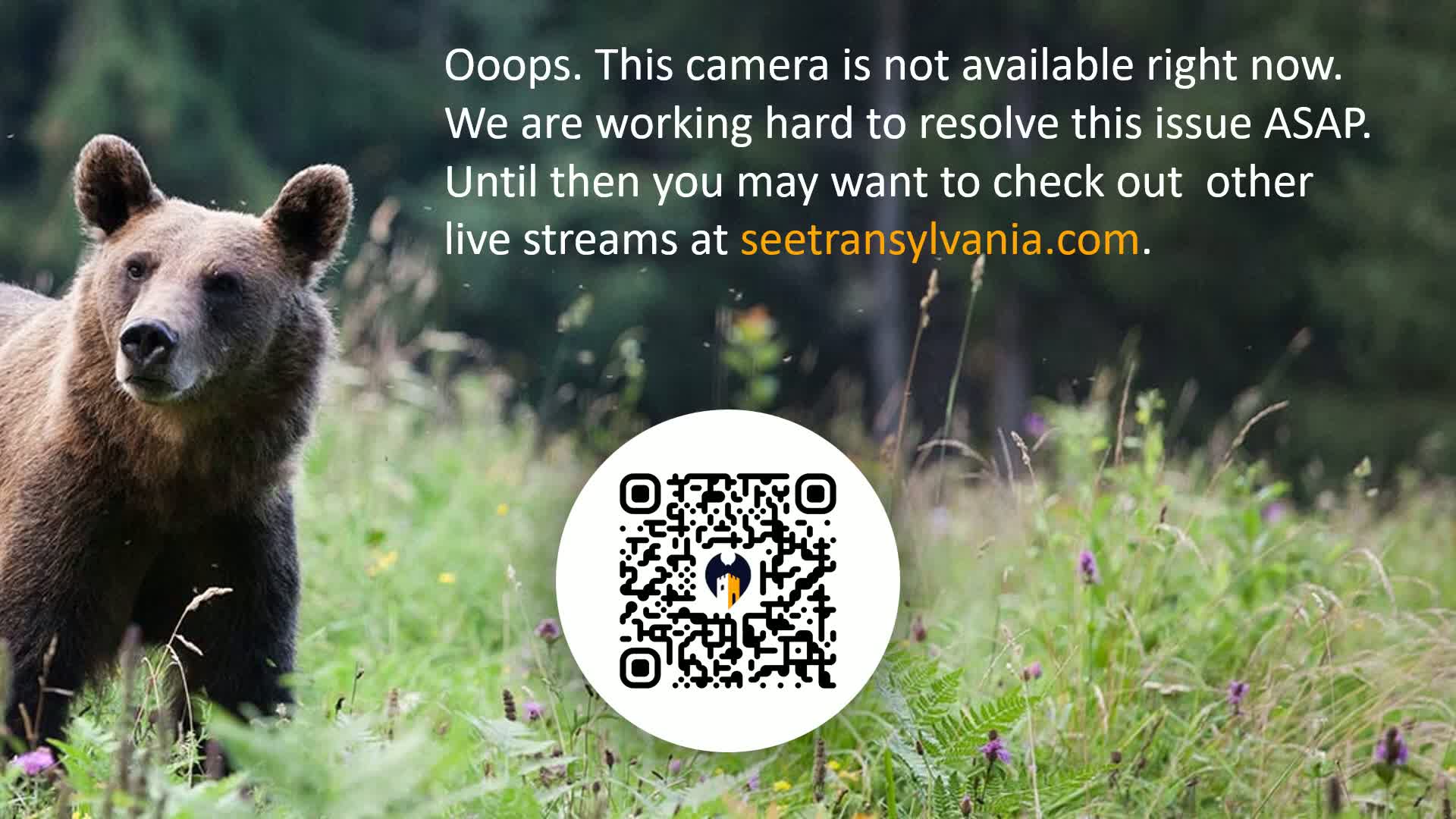 Bran, Dracula's Castle ( Castelul Bran) Live Cam - Bran, Braşov, Romania