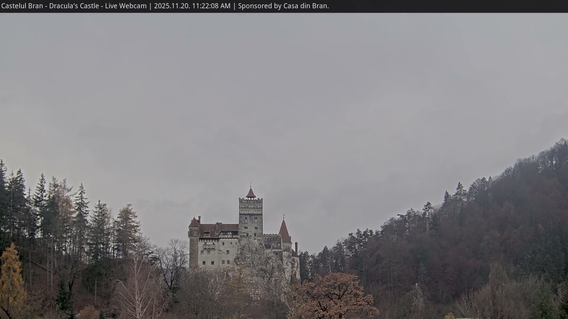 A historic gray castle with red-tiled roofs stands dramatically on a rocky outcrop amidst a dense, mostly bare forest under a uniformly overcast sky.