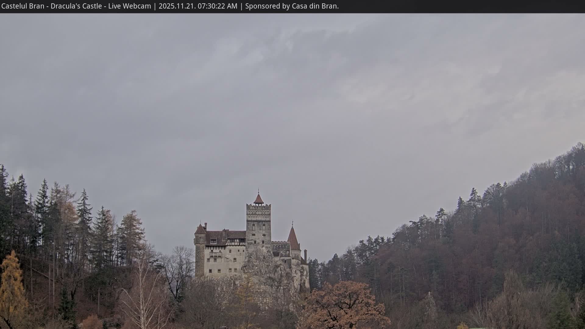 A historic gray castle with red-tiled roofs stands dramatically on a rocky outcrop amidst a dense, mostly bare forest under a uniformly overcast sky.