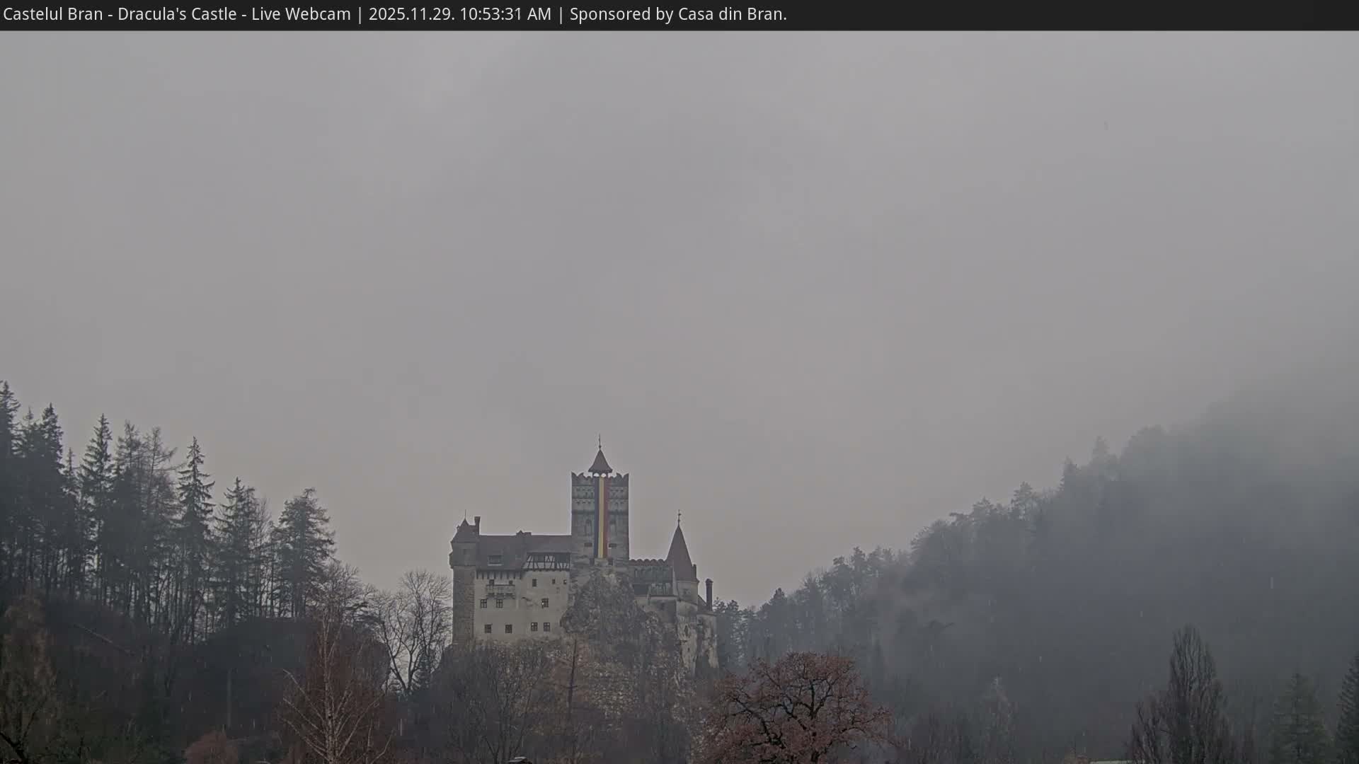 A prominent, multi-towered castle is perched on a rocky hill surrounded by dense winter trees, all visible under an overcast and foggy sky.