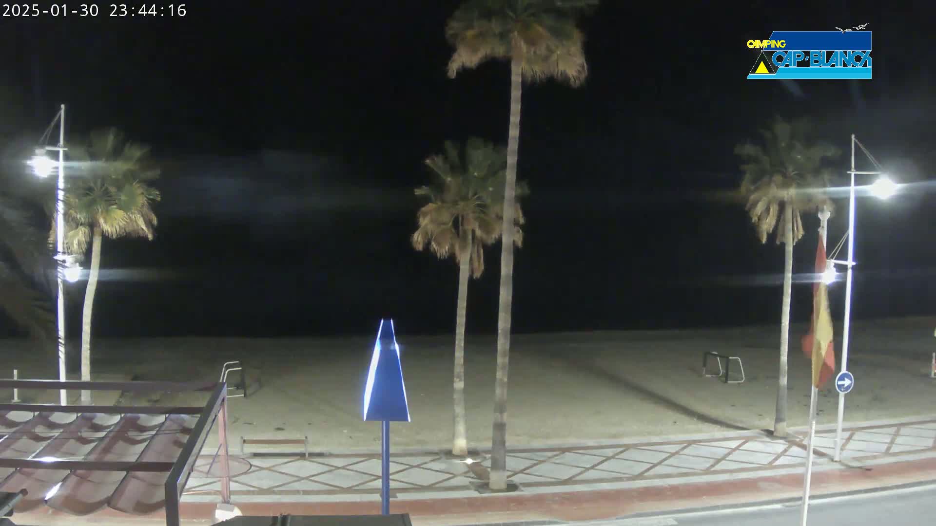At night, a sandy beach is visible beyond a paved walkway lined with palm trees and streetlights.