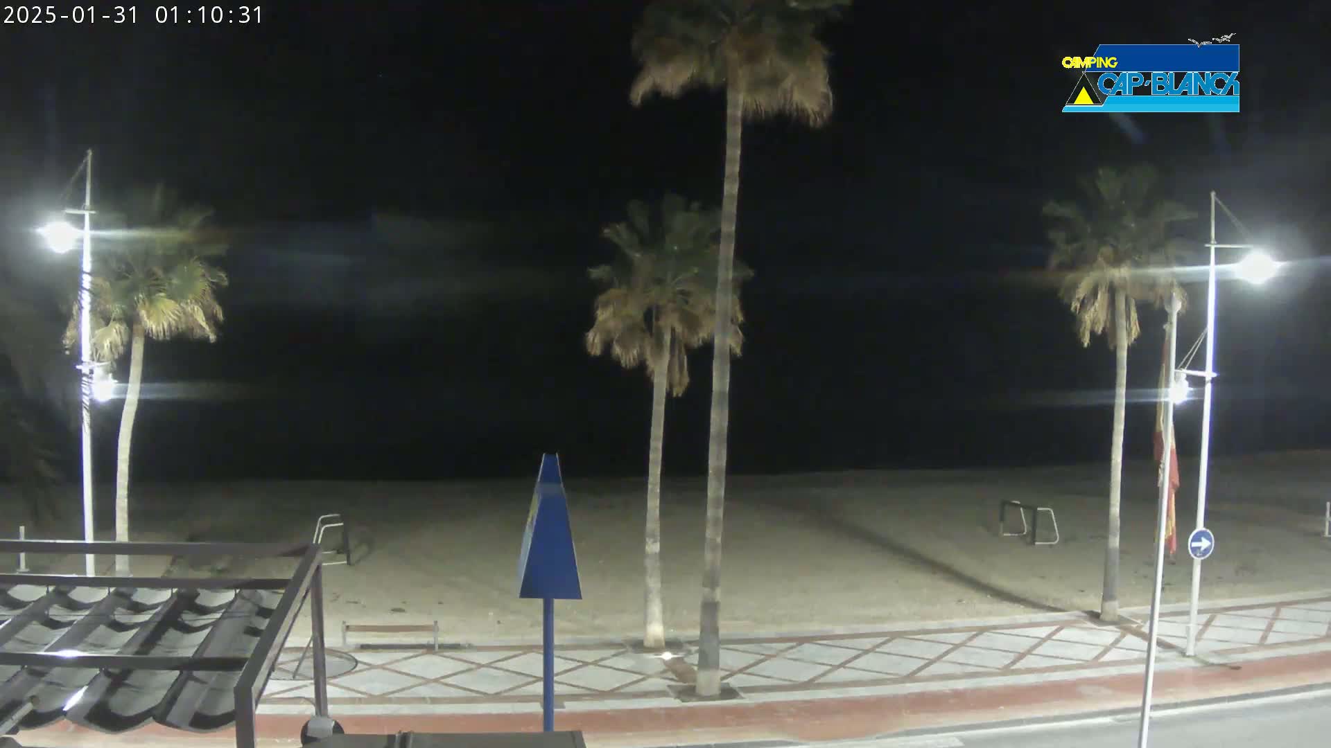 A nighttime beach scene shows several palm trees lining a paved walkway next to a sandy beach under a dark sky.